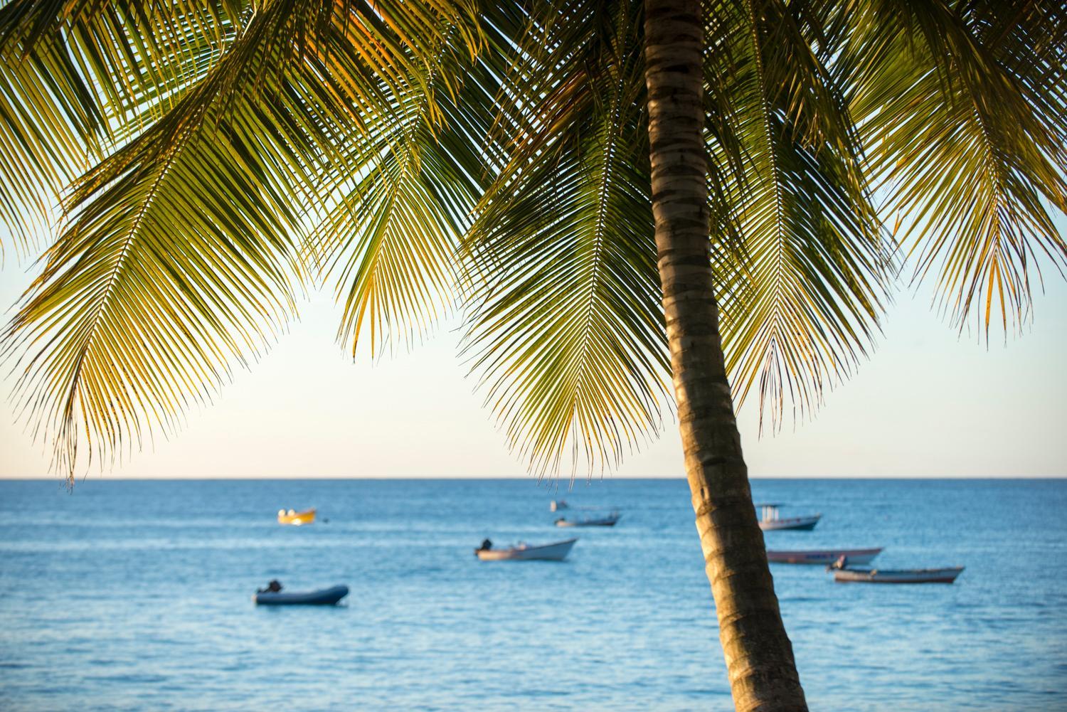 Castara Retreats