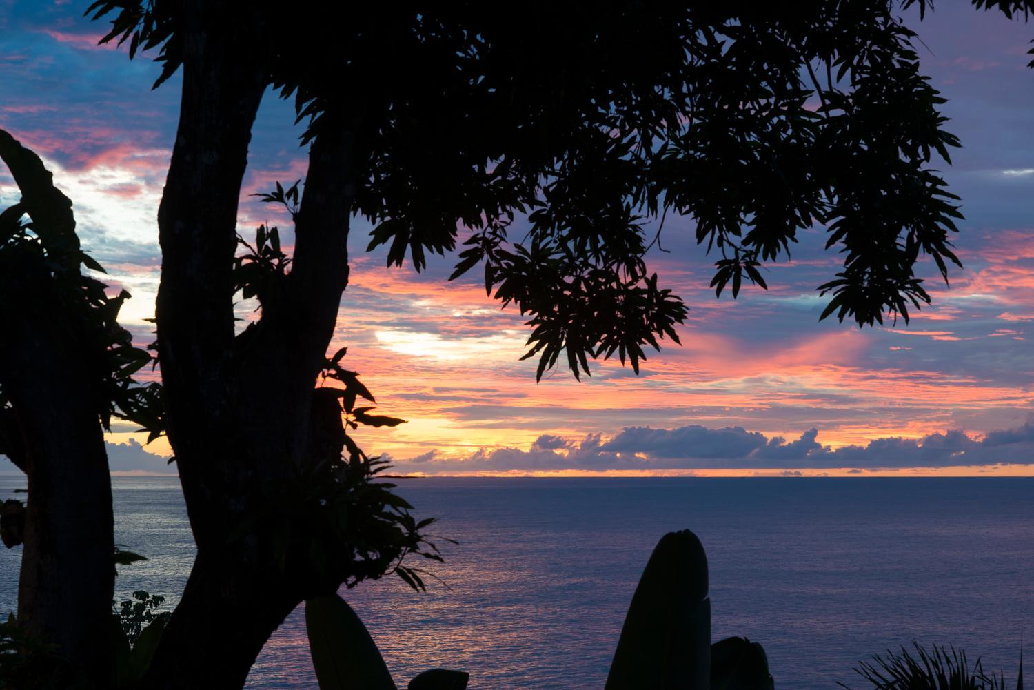 Castara Retreats