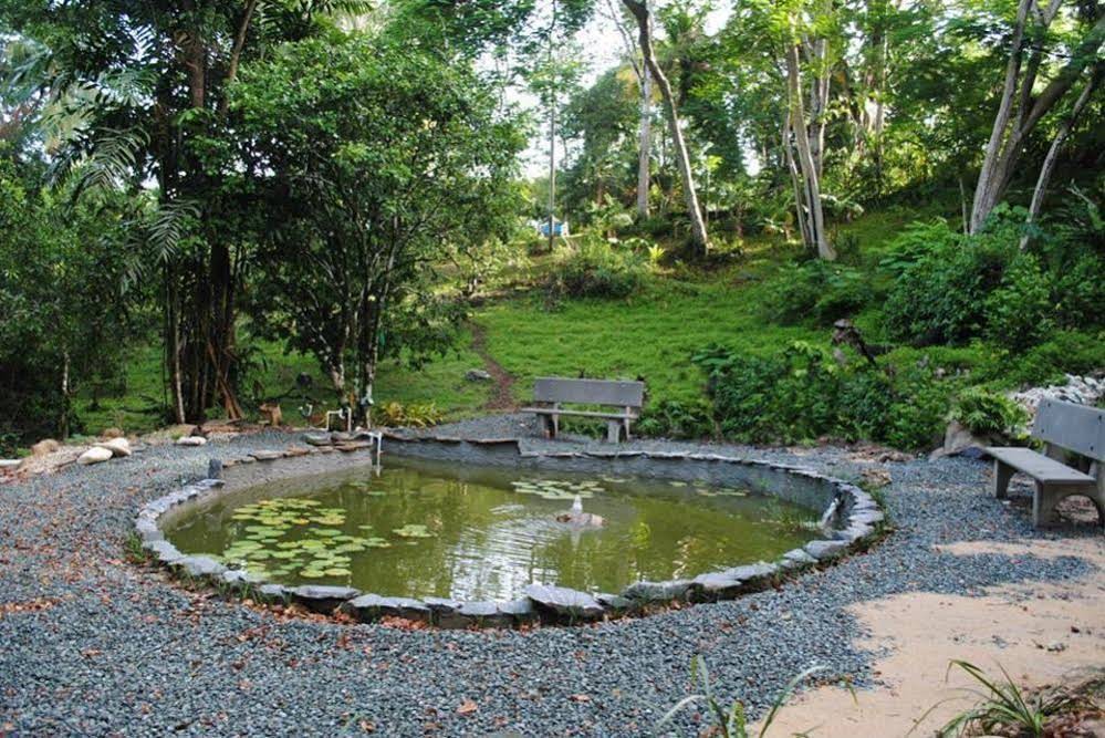 Adventure Eco Villas Tobago