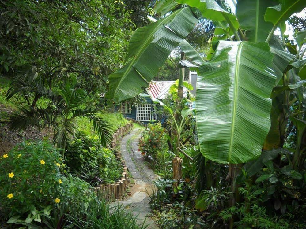 Adventure Eco Villas Tobago