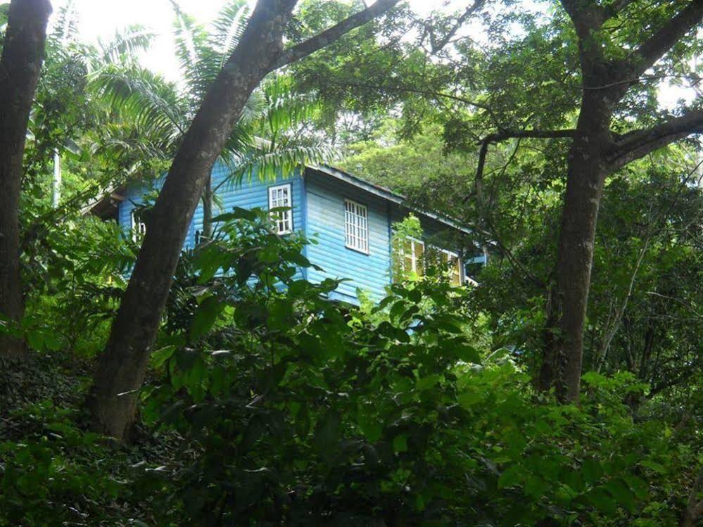 Adventure Eco Villas Tobago