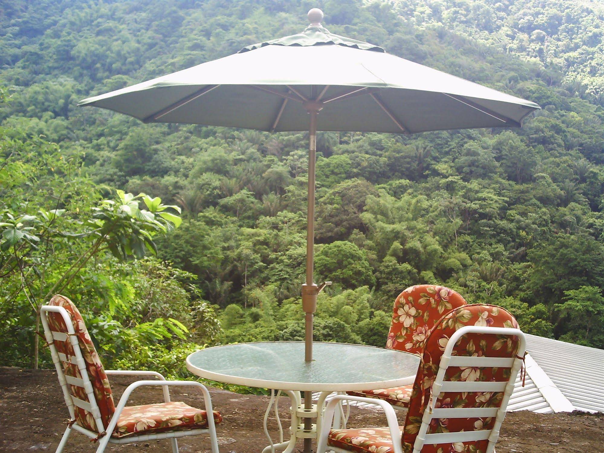 Shammah's Bed and Breakfast