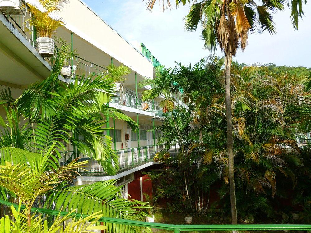 The Royal Palm Suite
