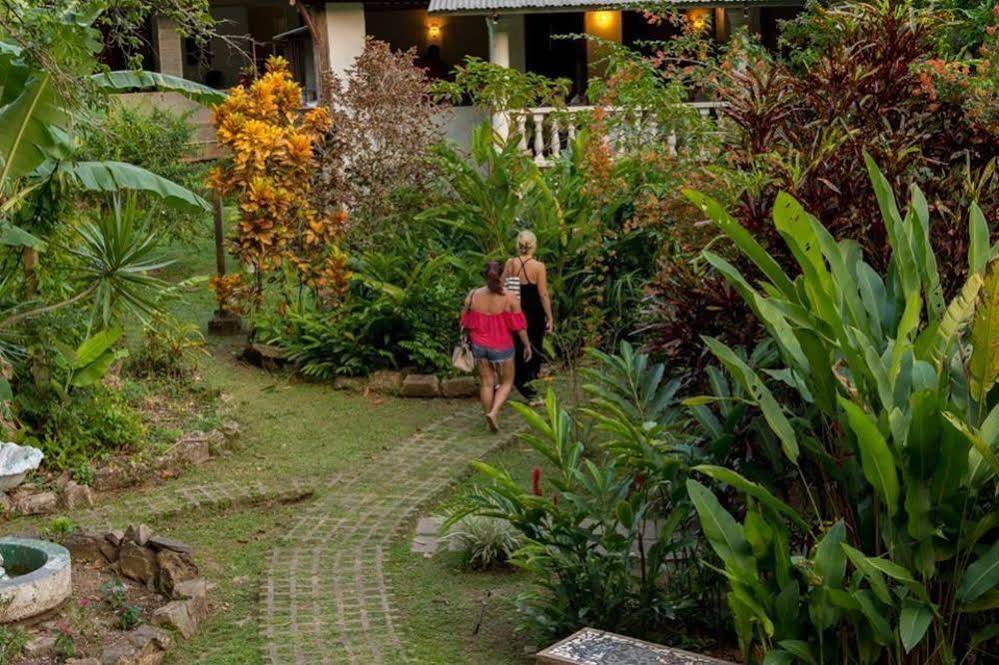 Casa Mariposa Bed and Breakfast