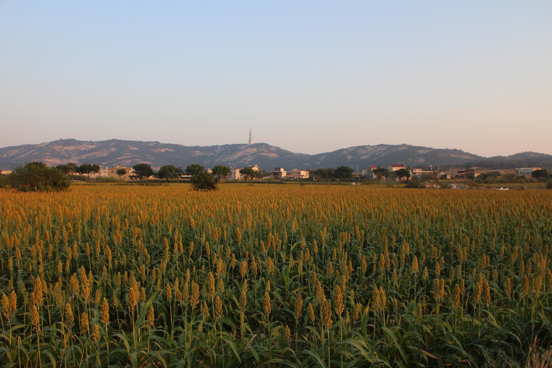 The Treasure Land Resort Hotel