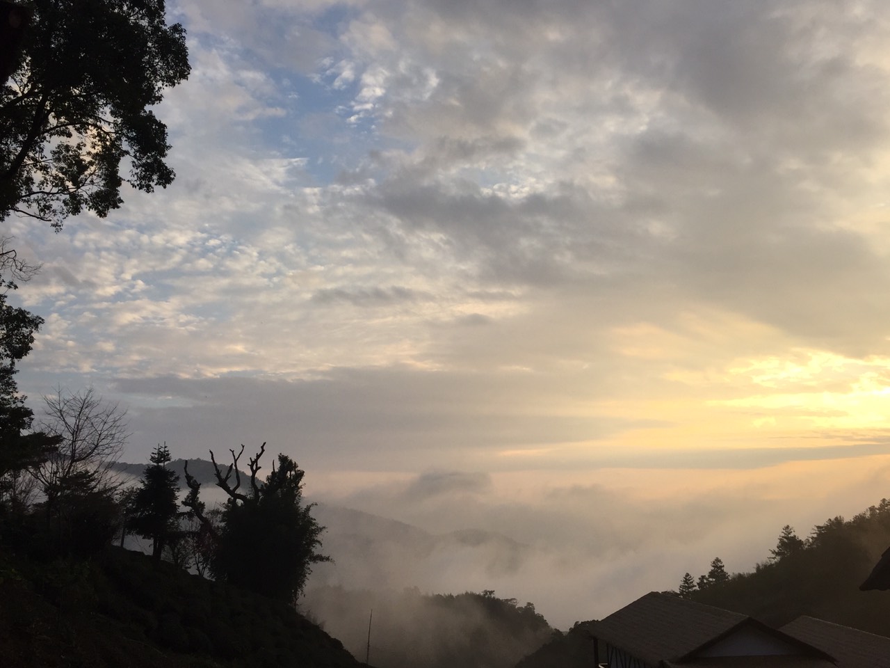 Applause In The Mountain