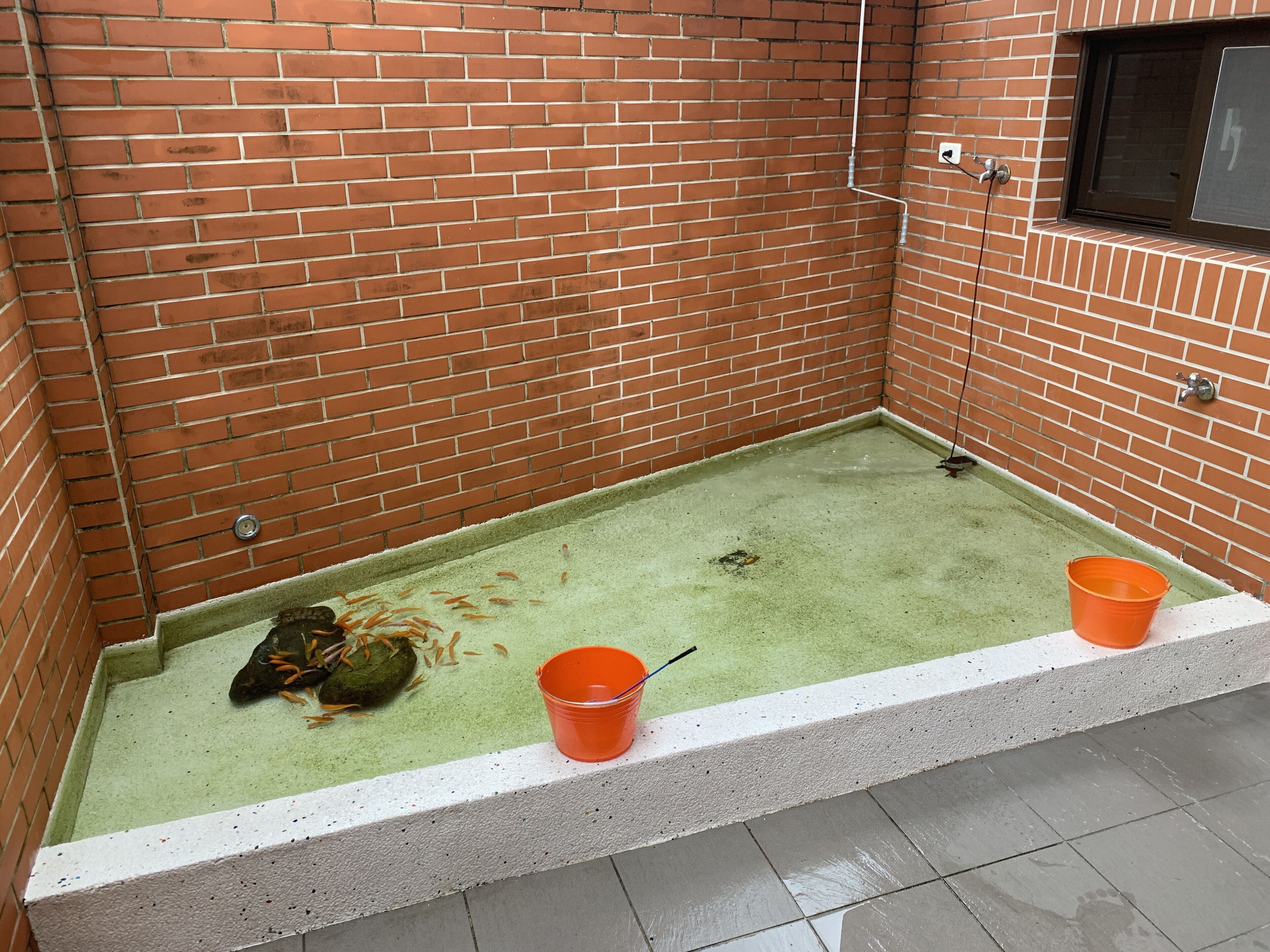 Dan Dan Bed and Breakfast