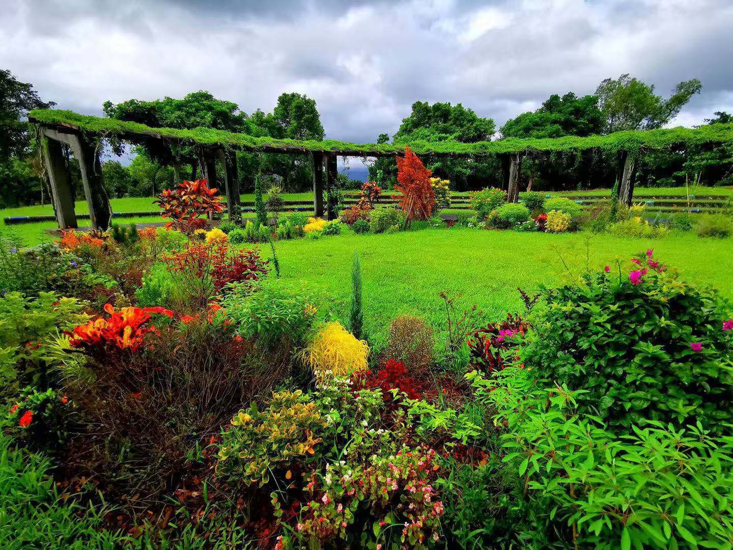 Dan Dan Bed and Breakfast