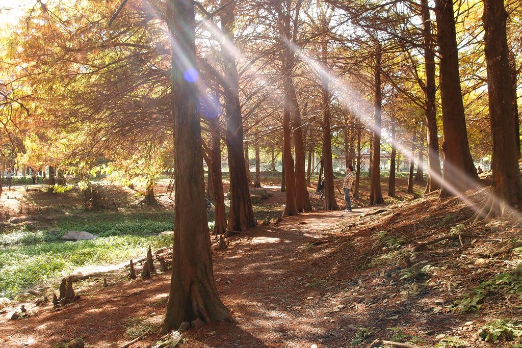 Dan Dan Bed and Breakfast