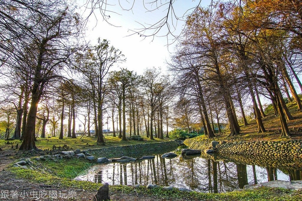 Dan Dan Bed and Breakfast