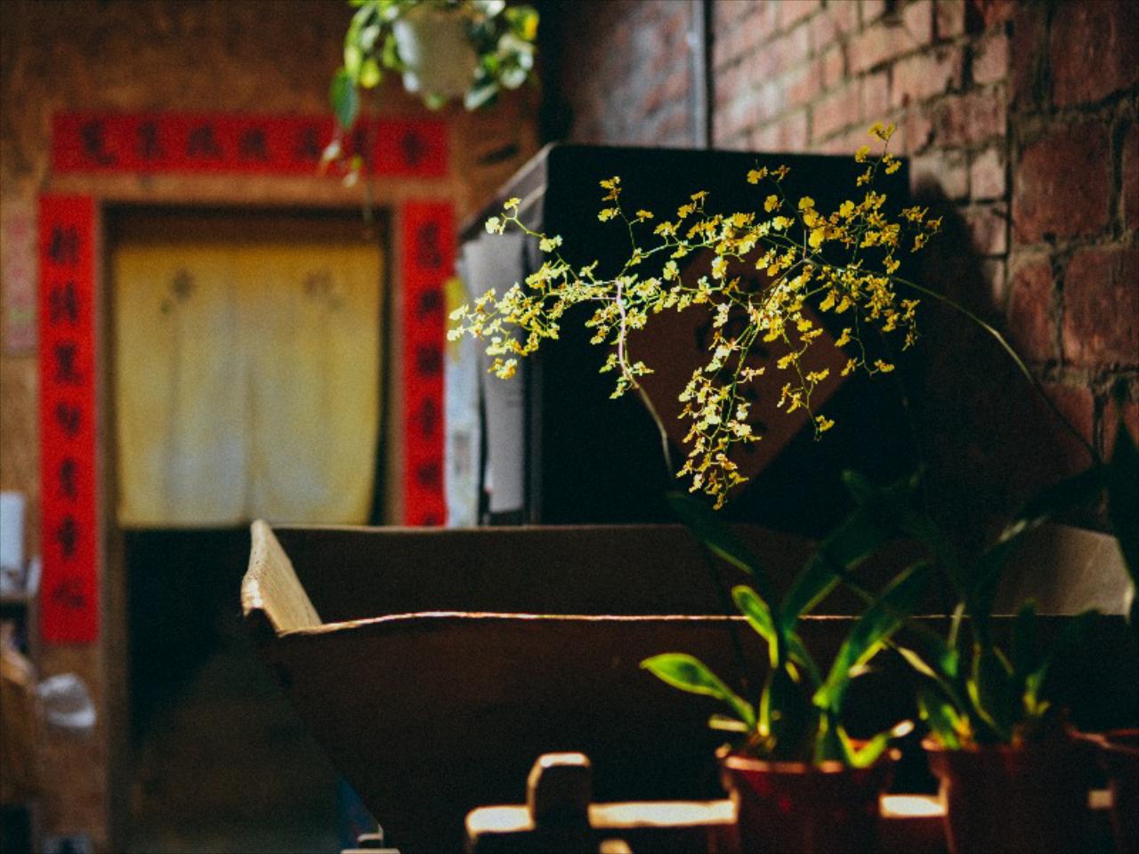 67 Old Street Backpacker Hostel