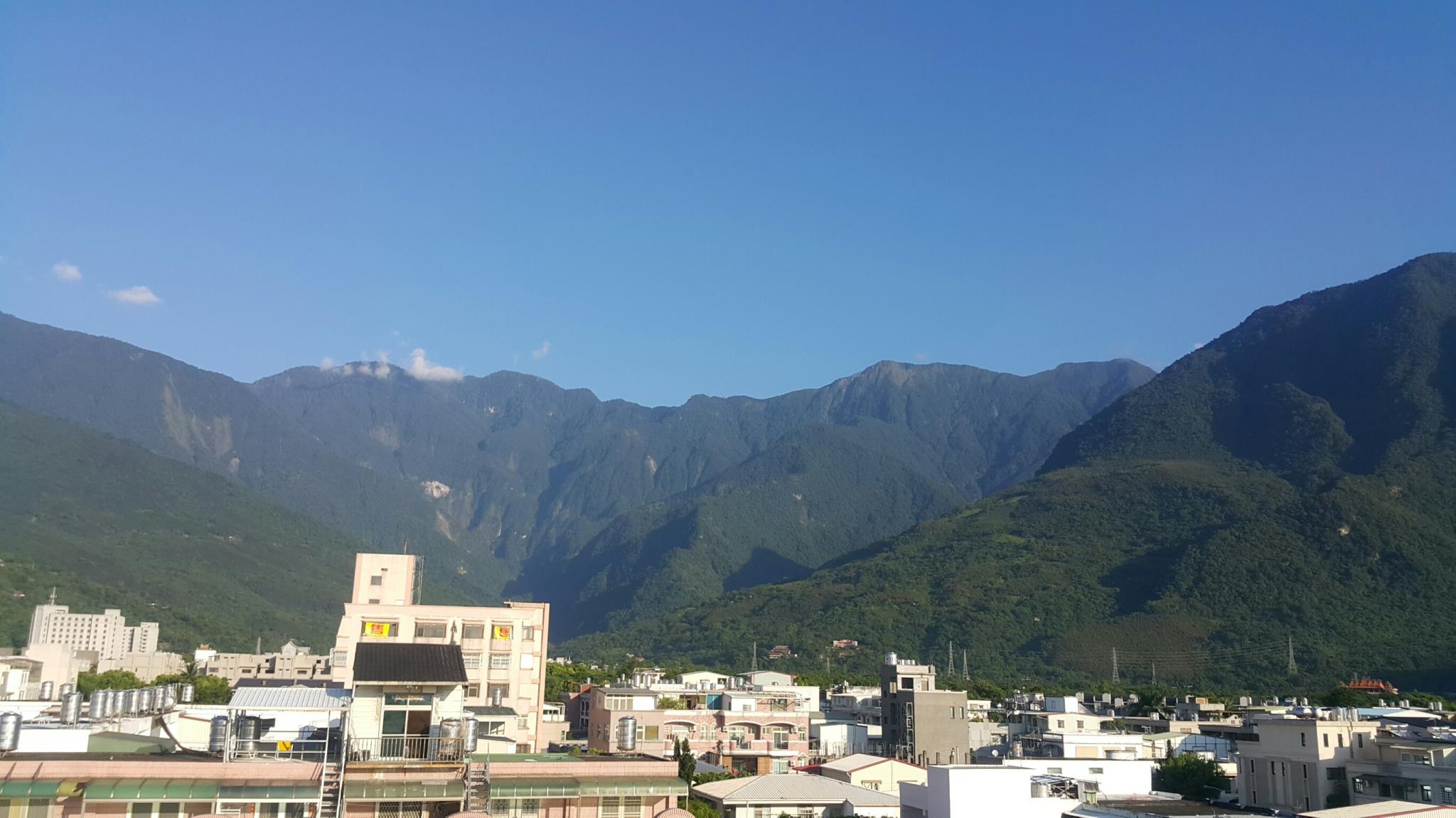 Hualien Pine
