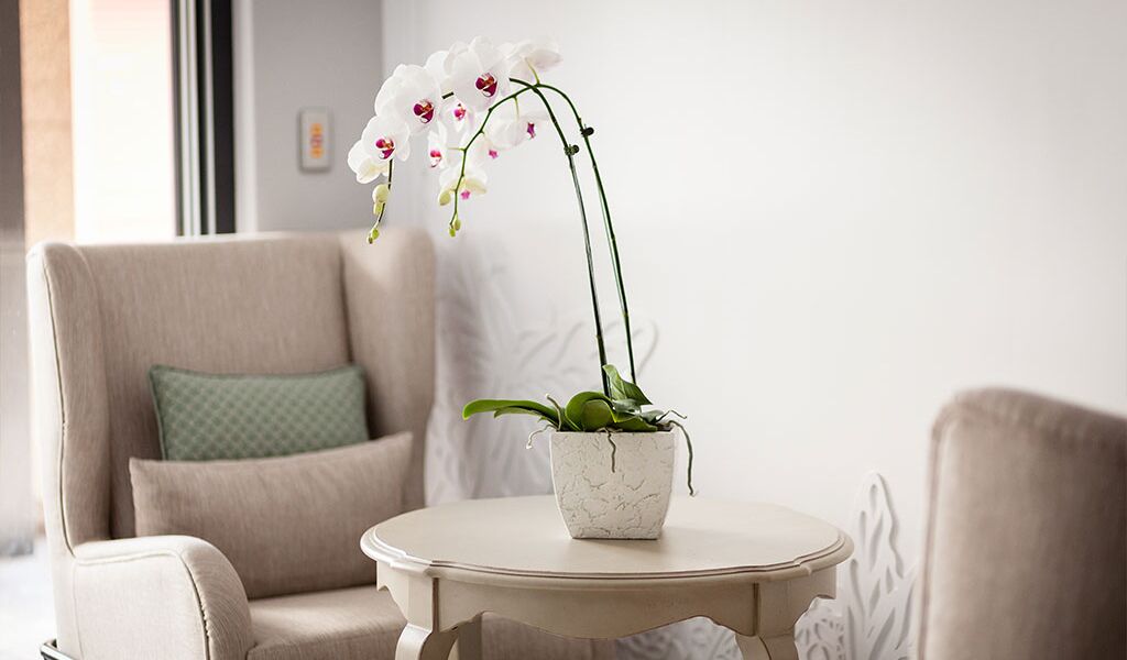 Lanven Homestay