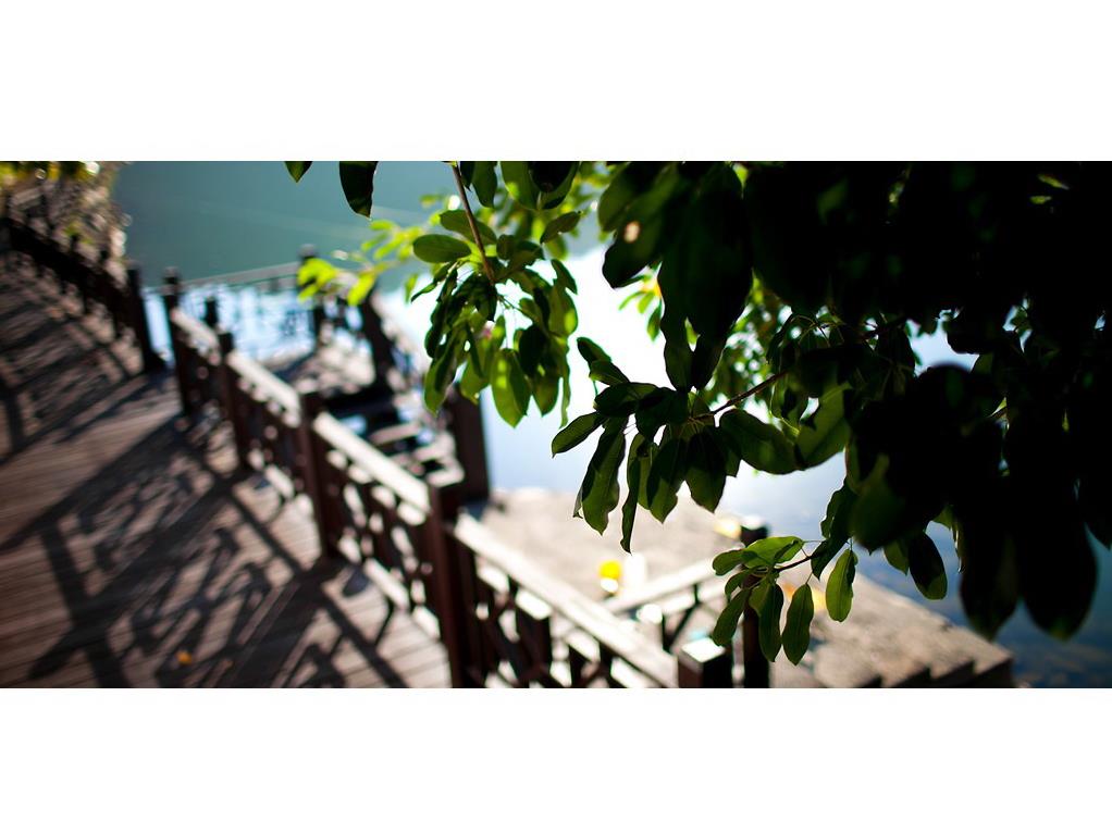 Venice Garden