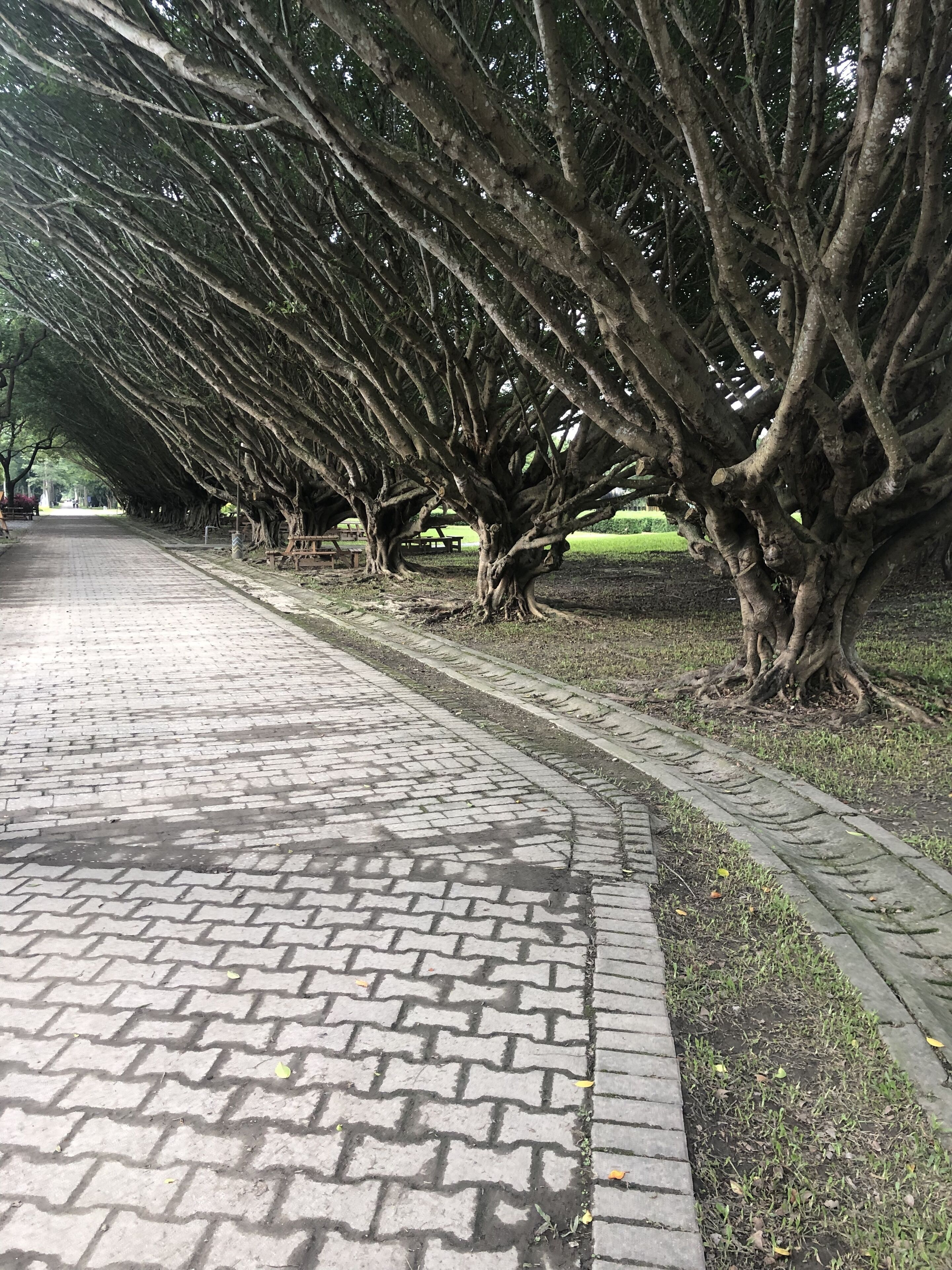 You Come to Hualien Homestay