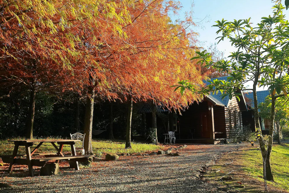Green Forest Villa