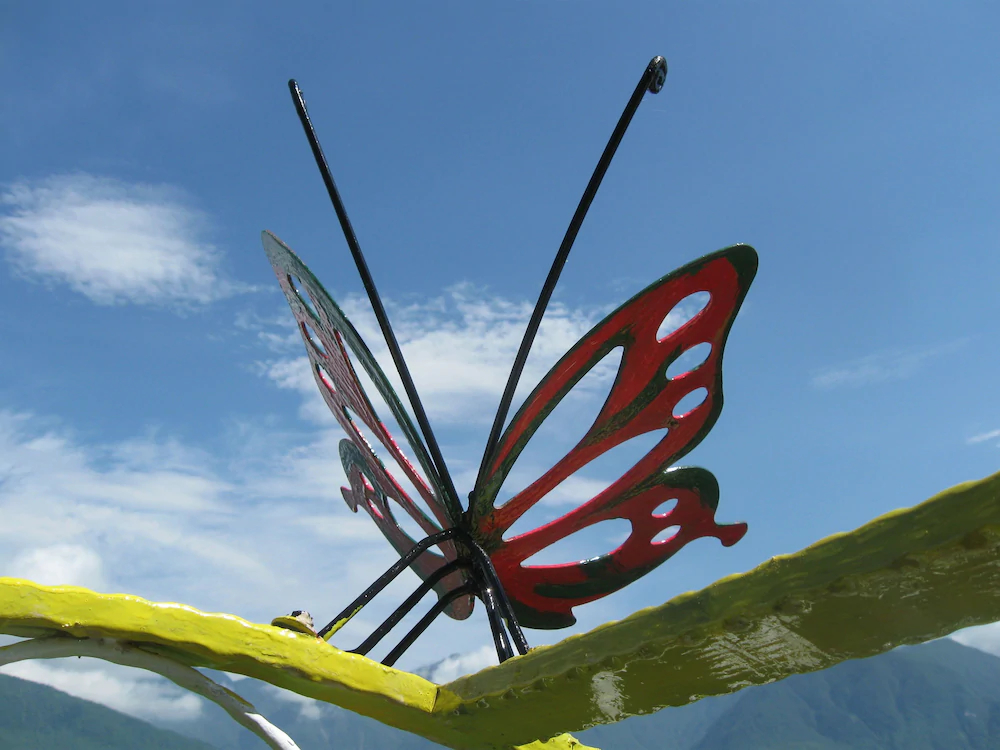 Evergreen Garden Home