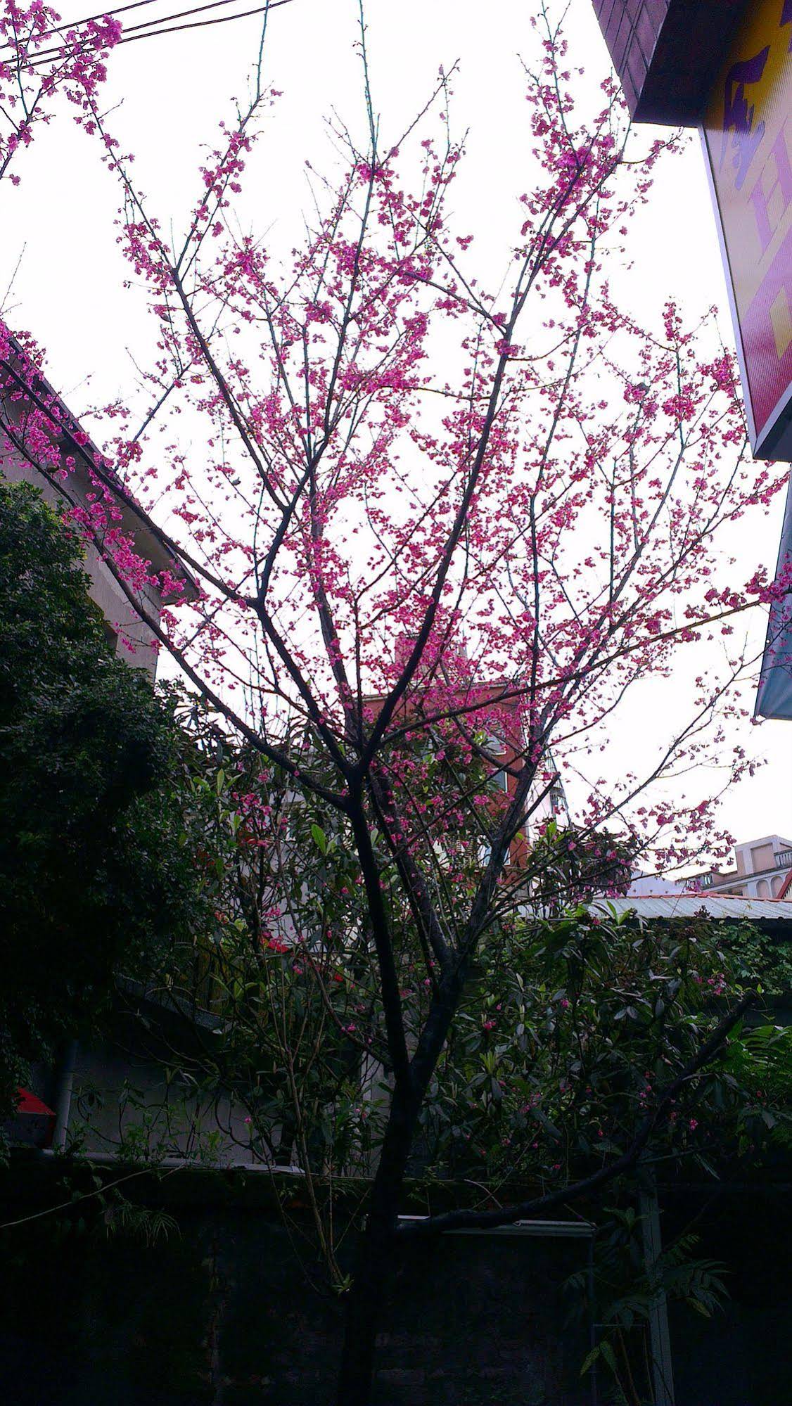 King Town Hotel