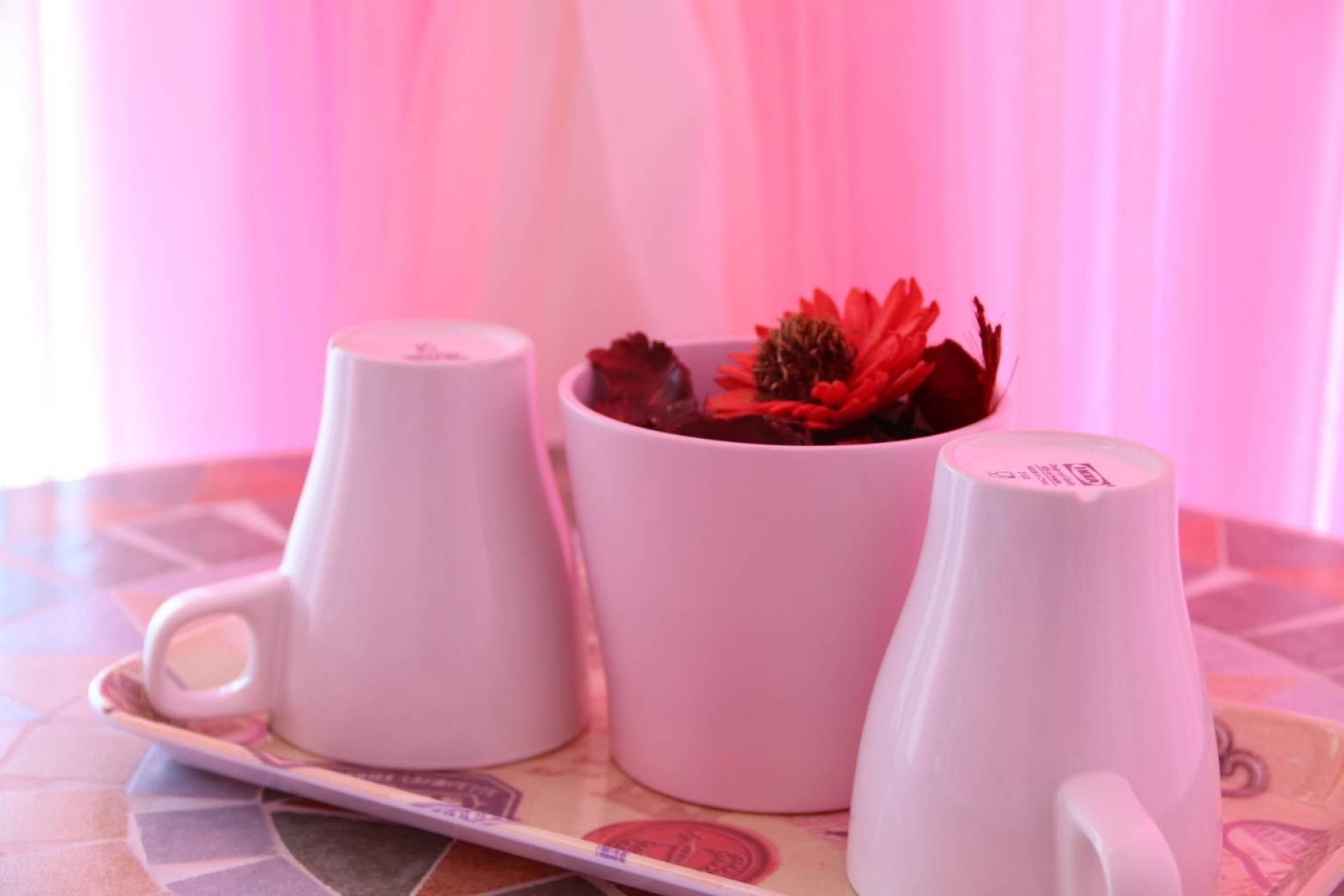 Elfin Kids And Pets B&B