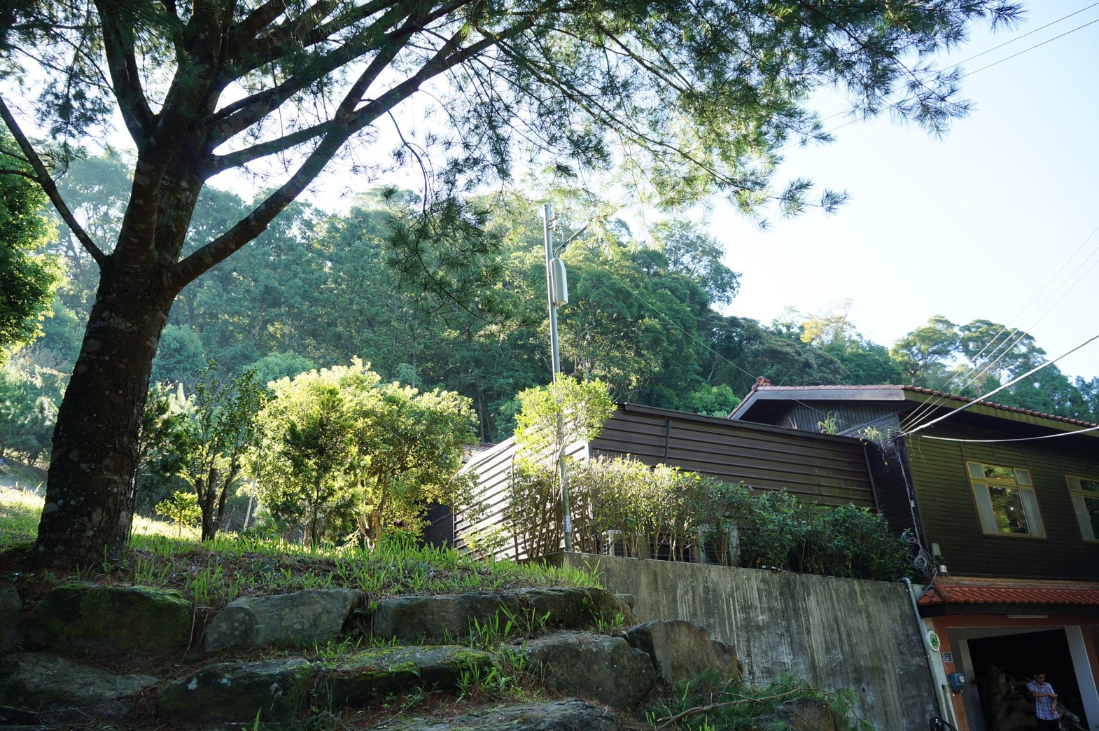 Hillside Plot Inn