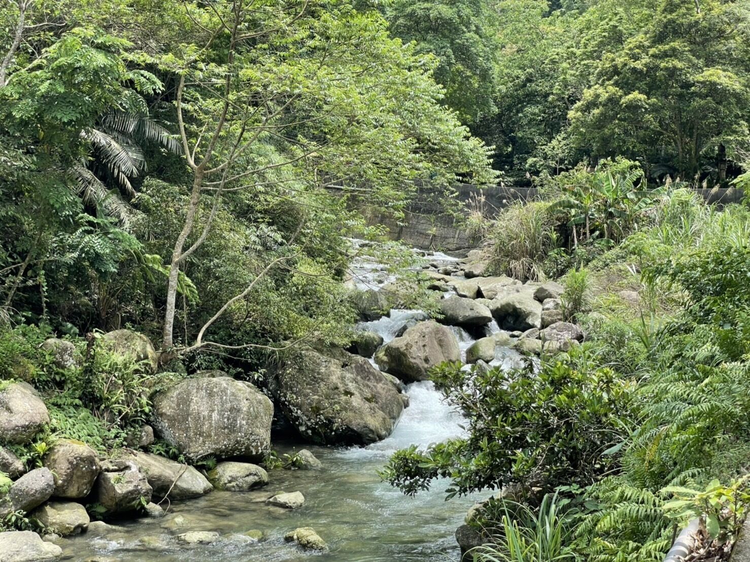 Nanyang 62