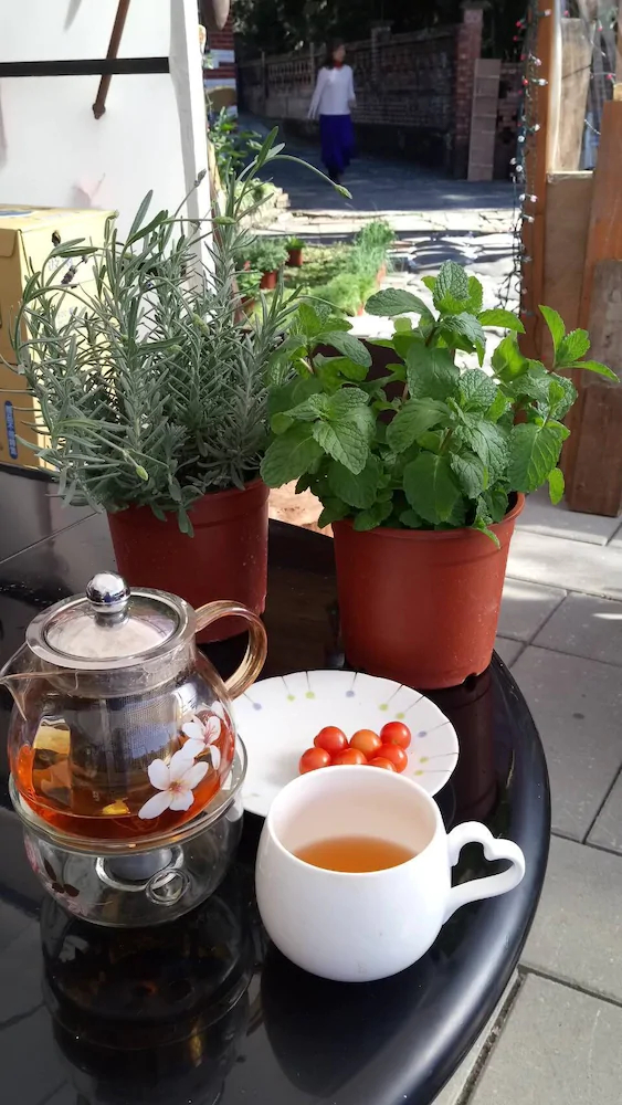 F.F.F. The 24H Valley Food Restauran B&B