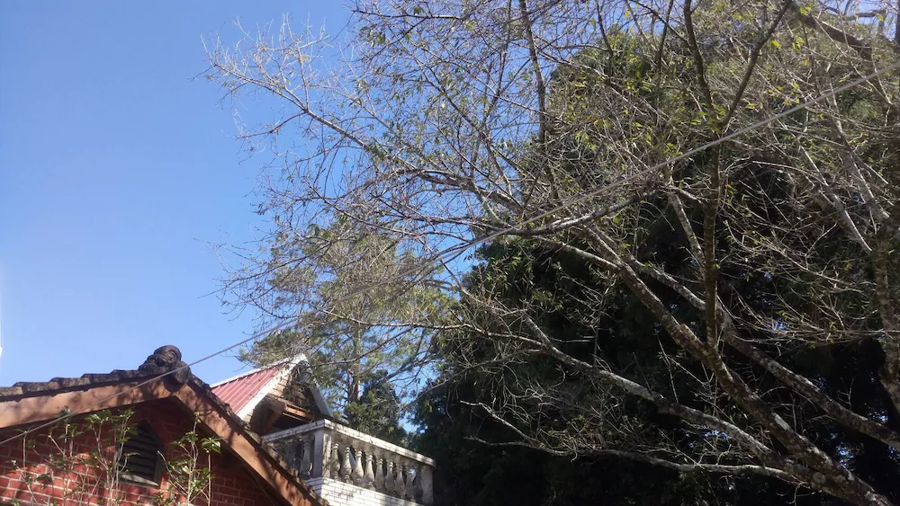 F.F.F. The 24H Valley Food Restauran B&B