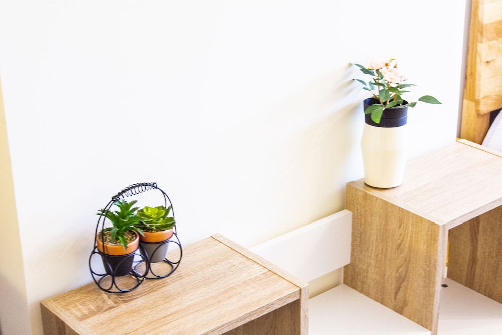 Ioio Tainan Homestay