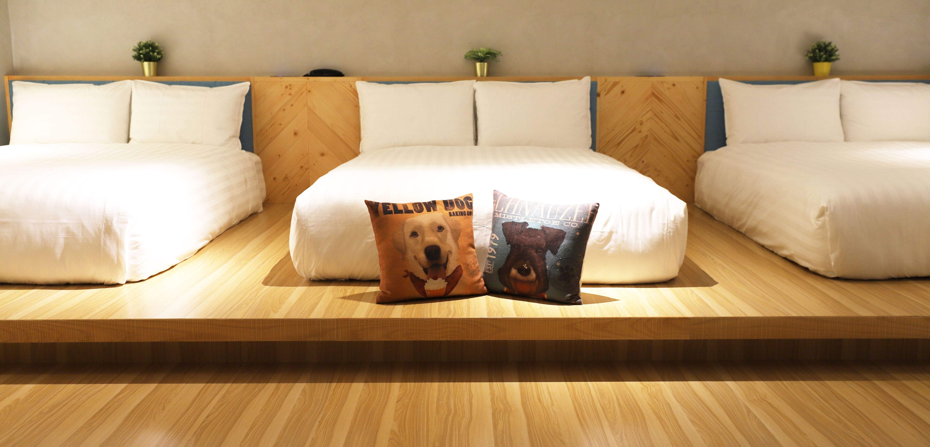 Unique Hotel-Dash 23 Hotel-Giant Hotel