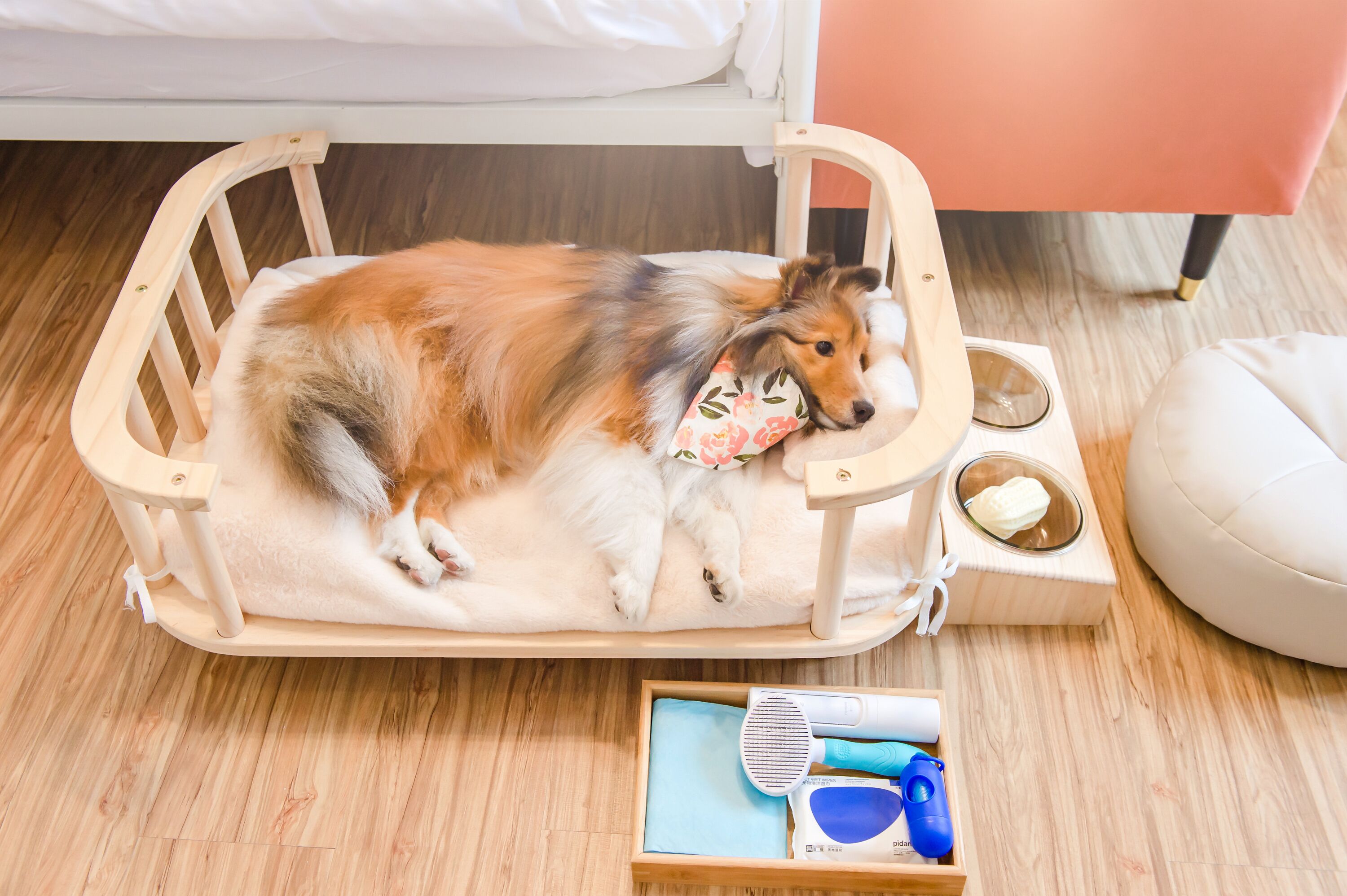 H& Pet Taitung Homeabout