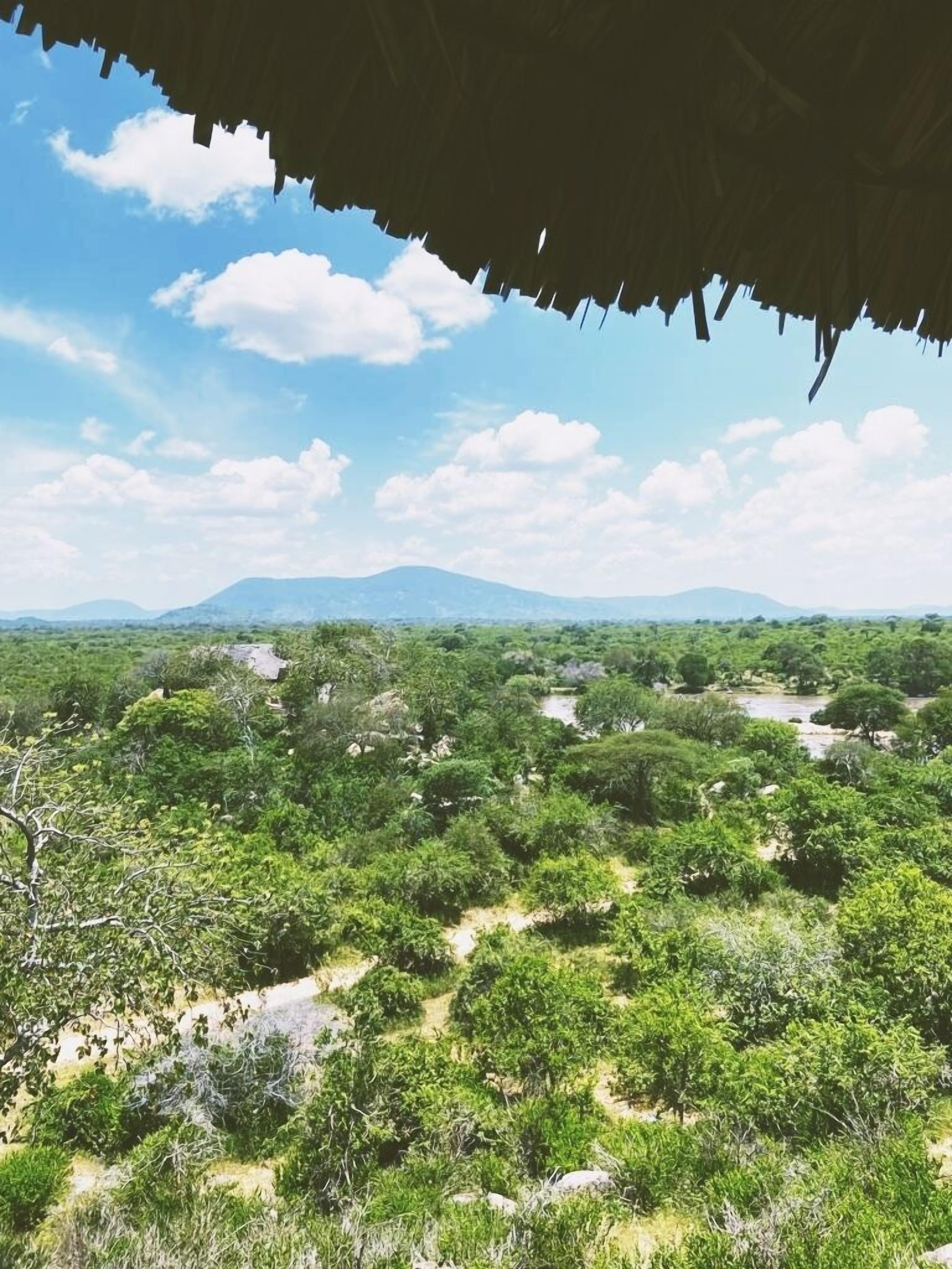 Tembe Home