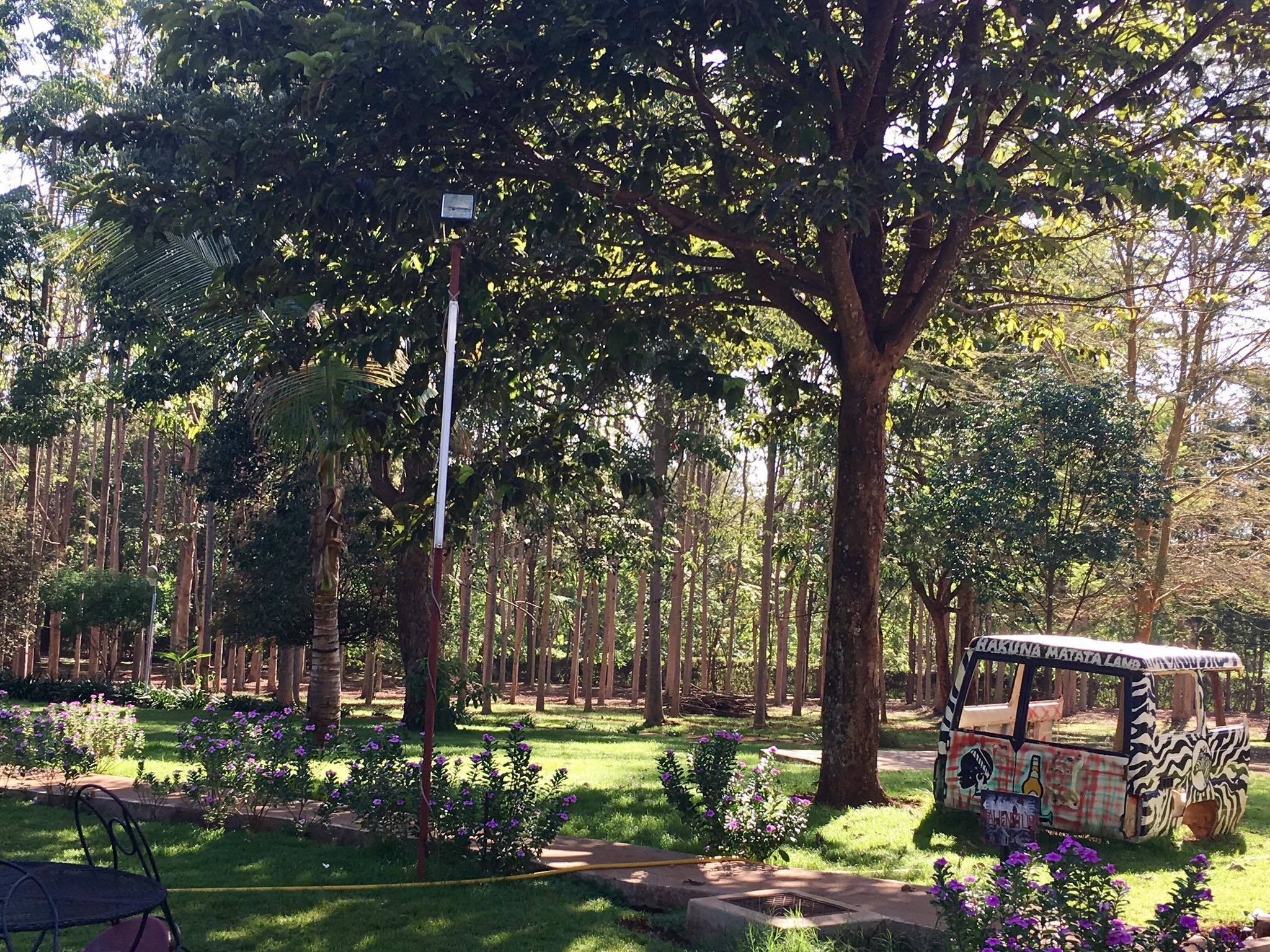 Kilemakyaro Mountain Lodge