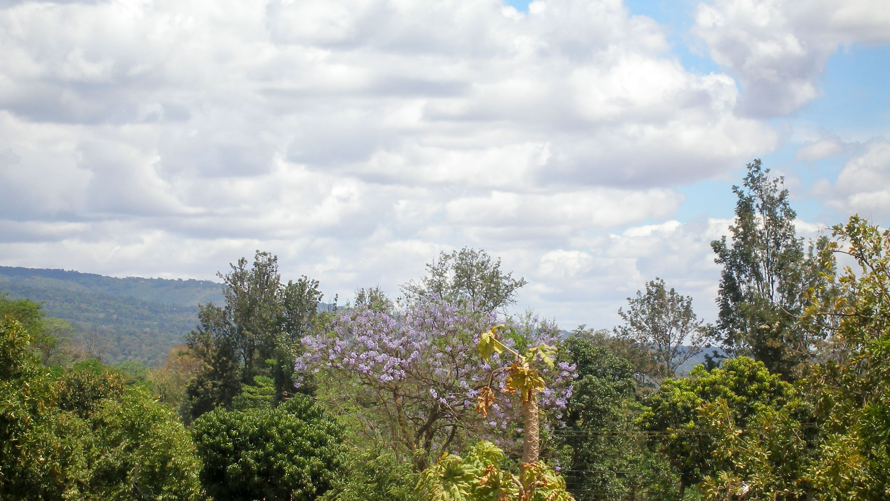 Kili-konka