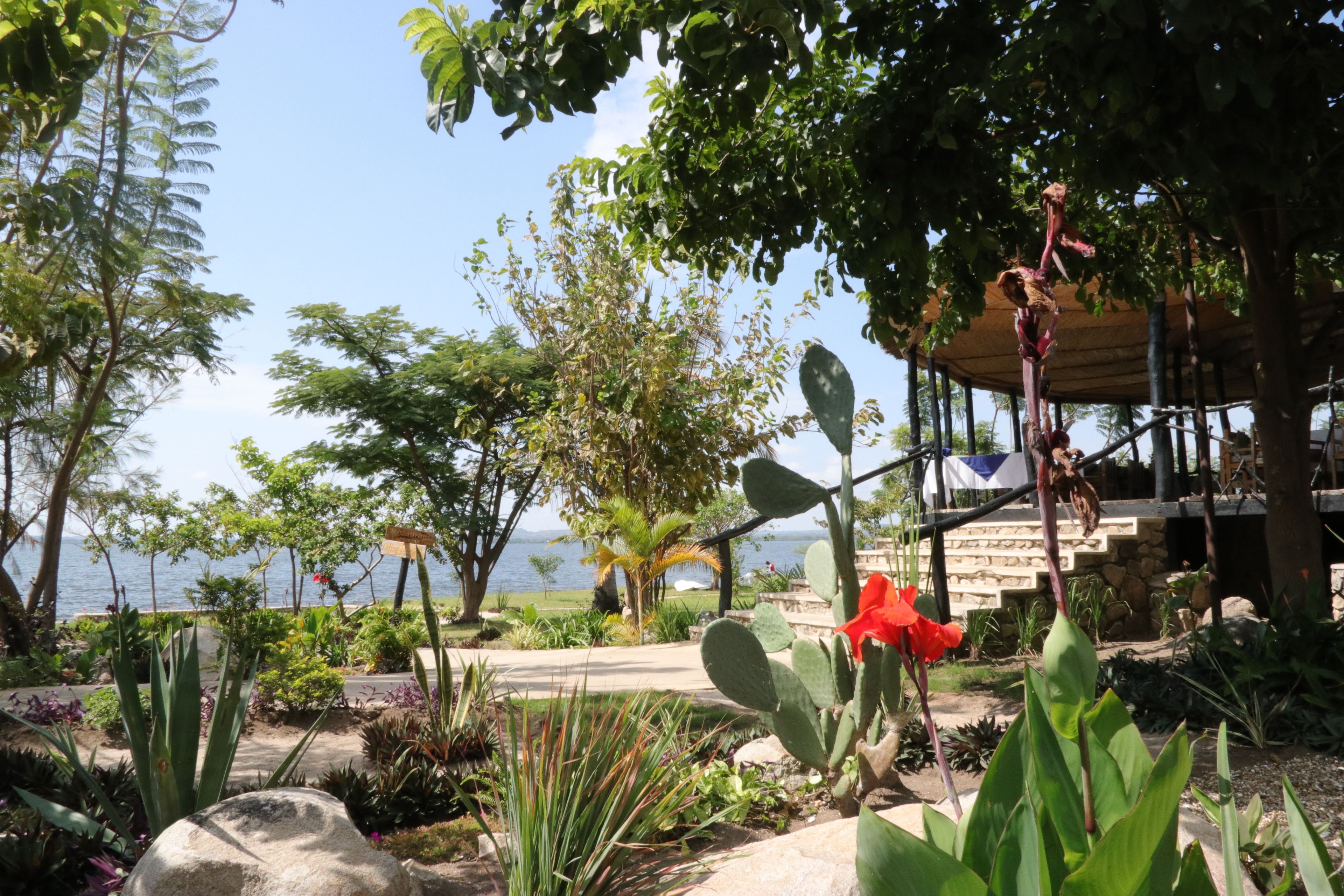 Papa's Cafe And Bungalows