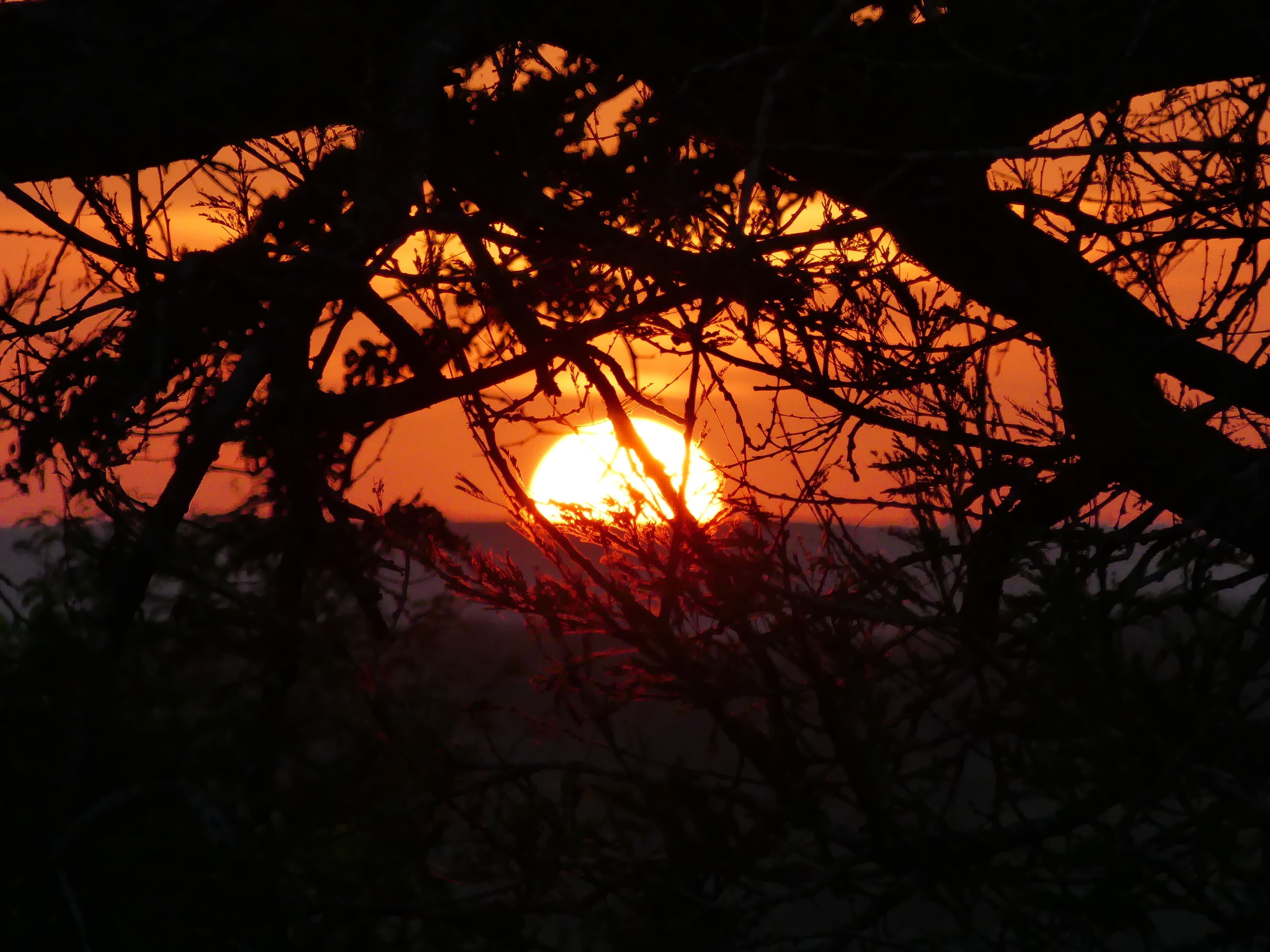 Wami River Bush Retreat - Kisampa