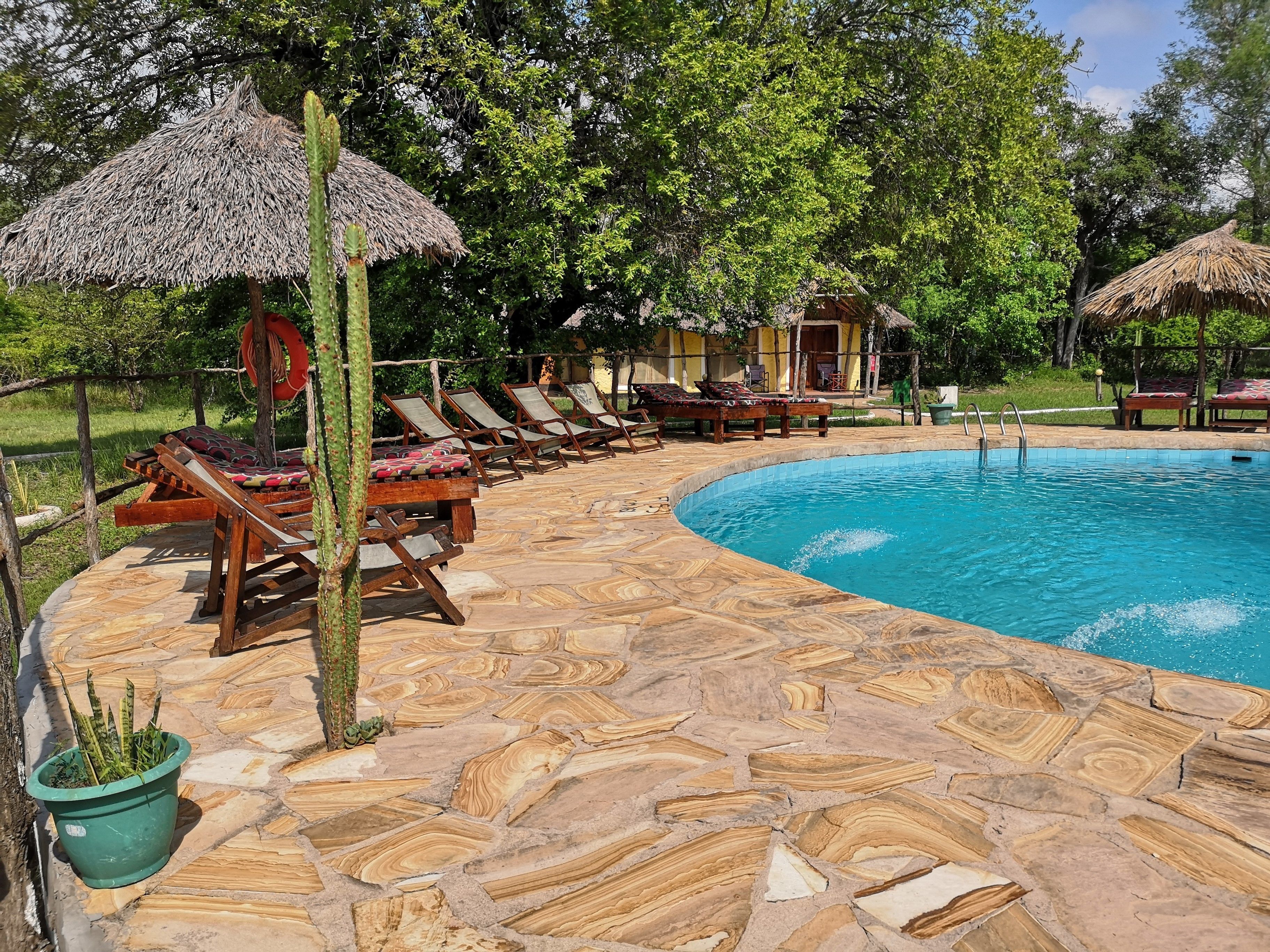 Africa Safari Selous