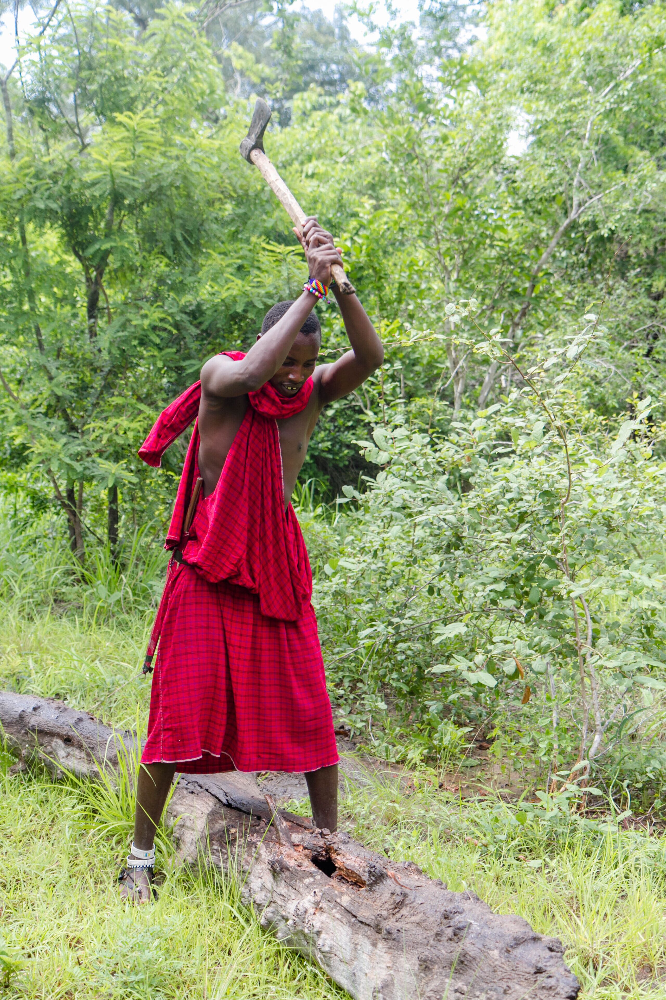 Africa Safari Selous
