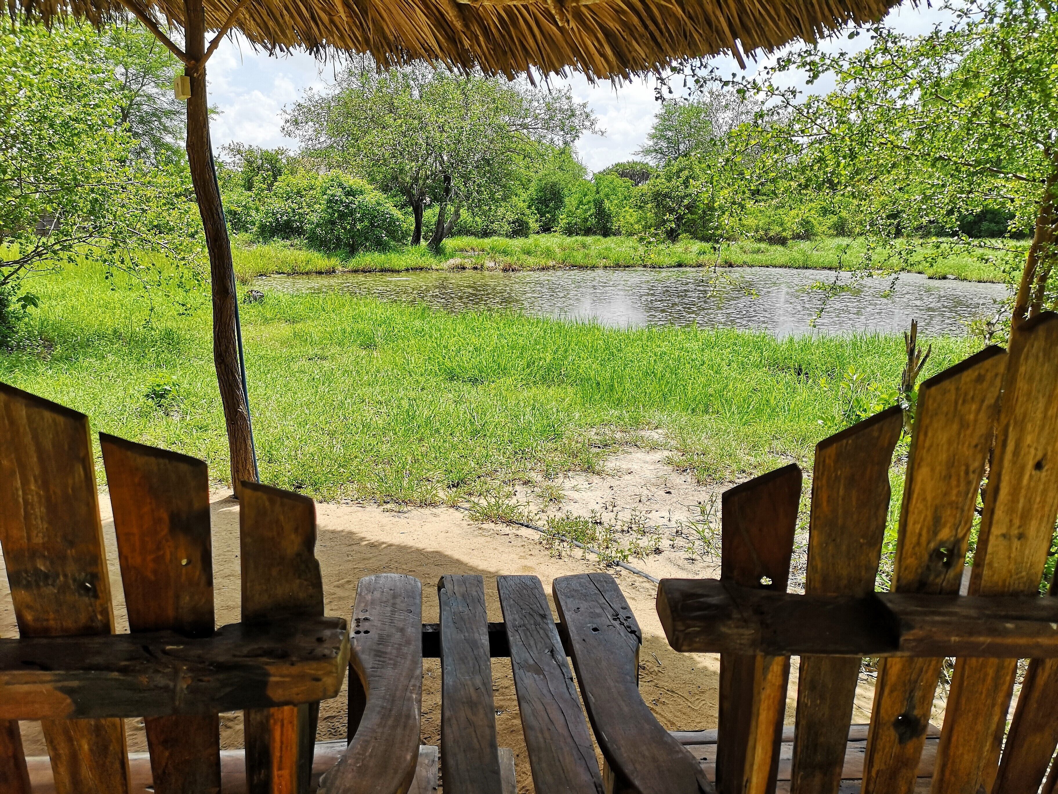 Africa Safari Selous