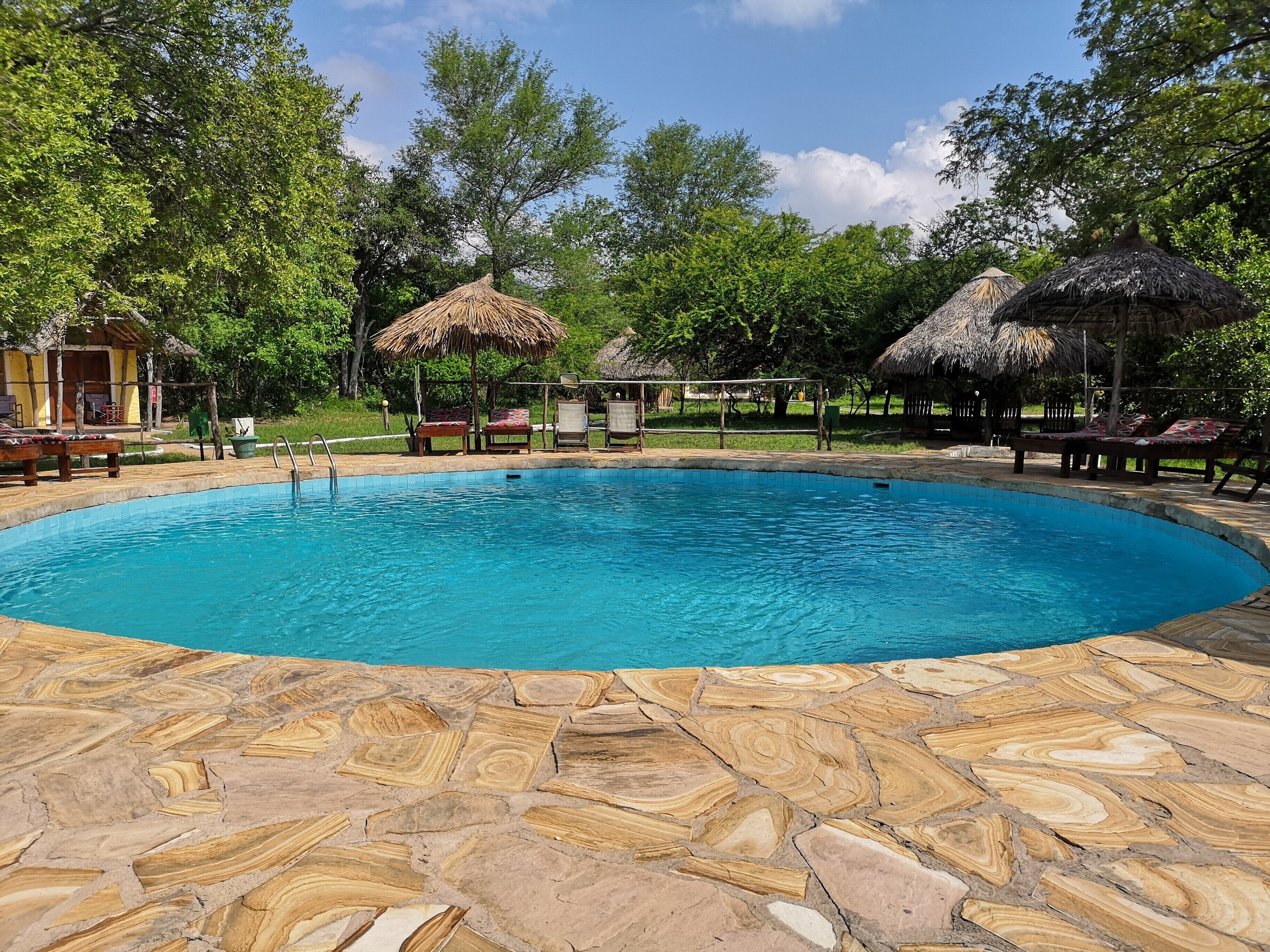 Africa Safari Selous