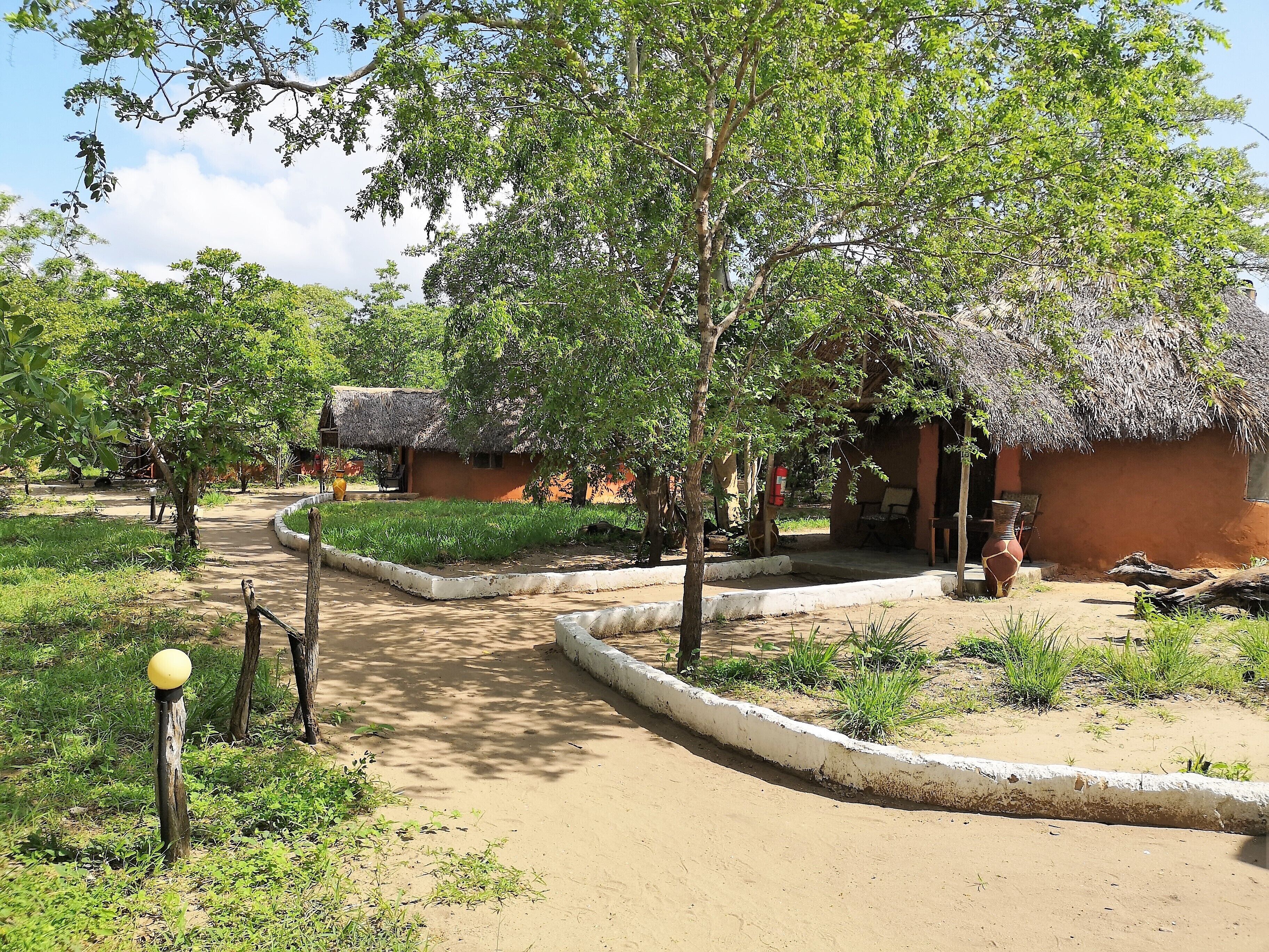 Africa Safari Selous