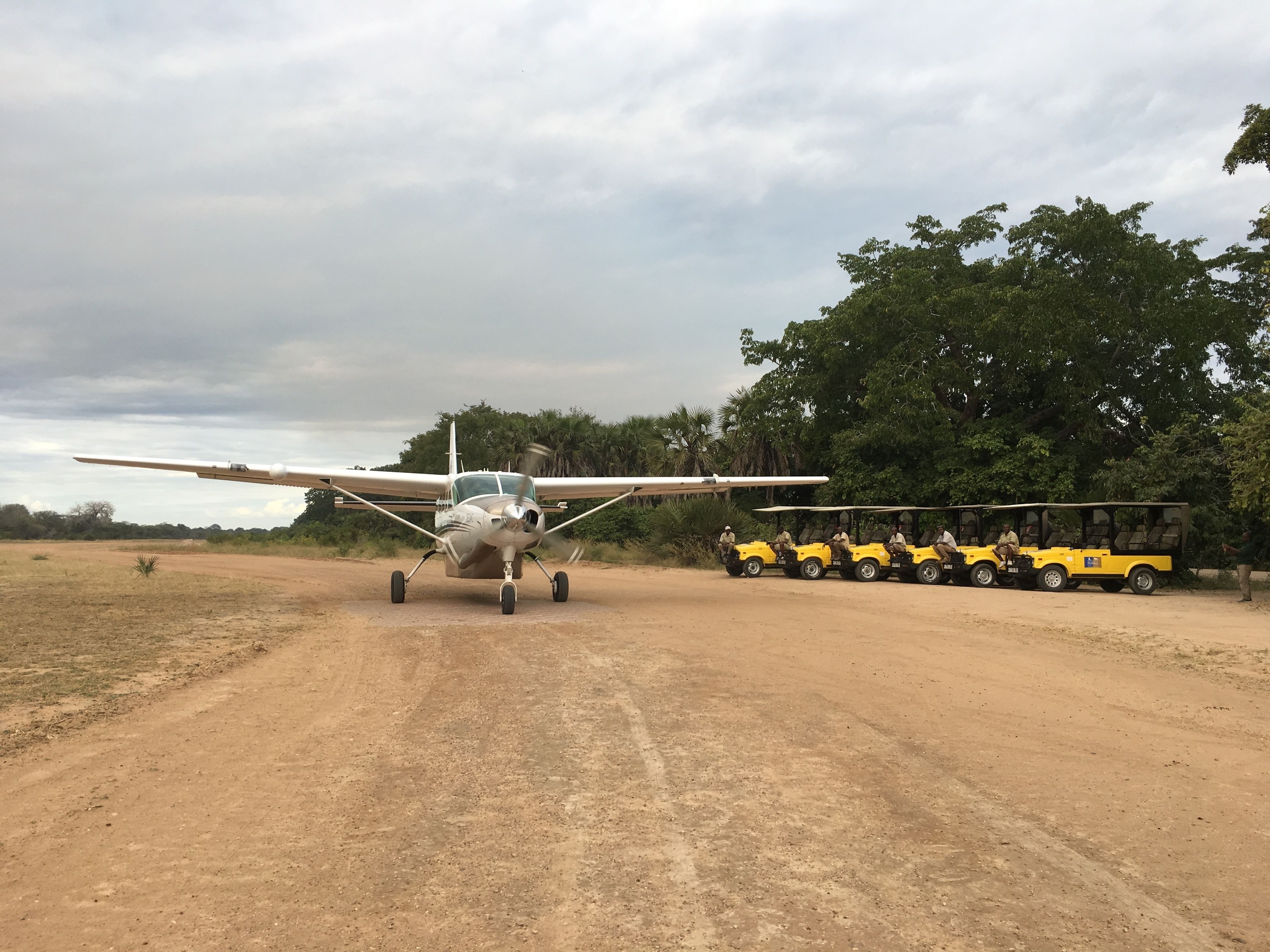 Africa Safari Selous