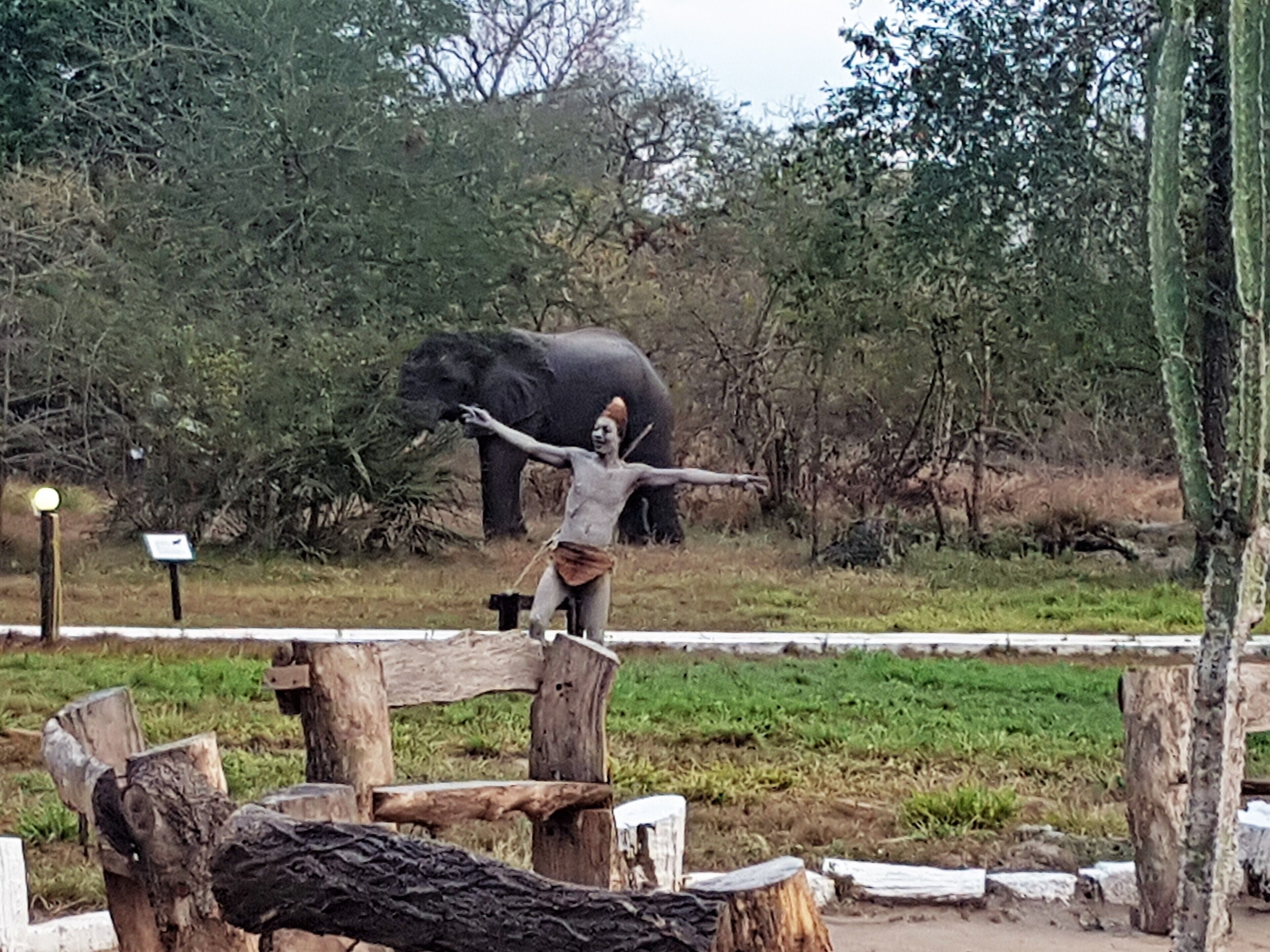 Africa Safari Selous