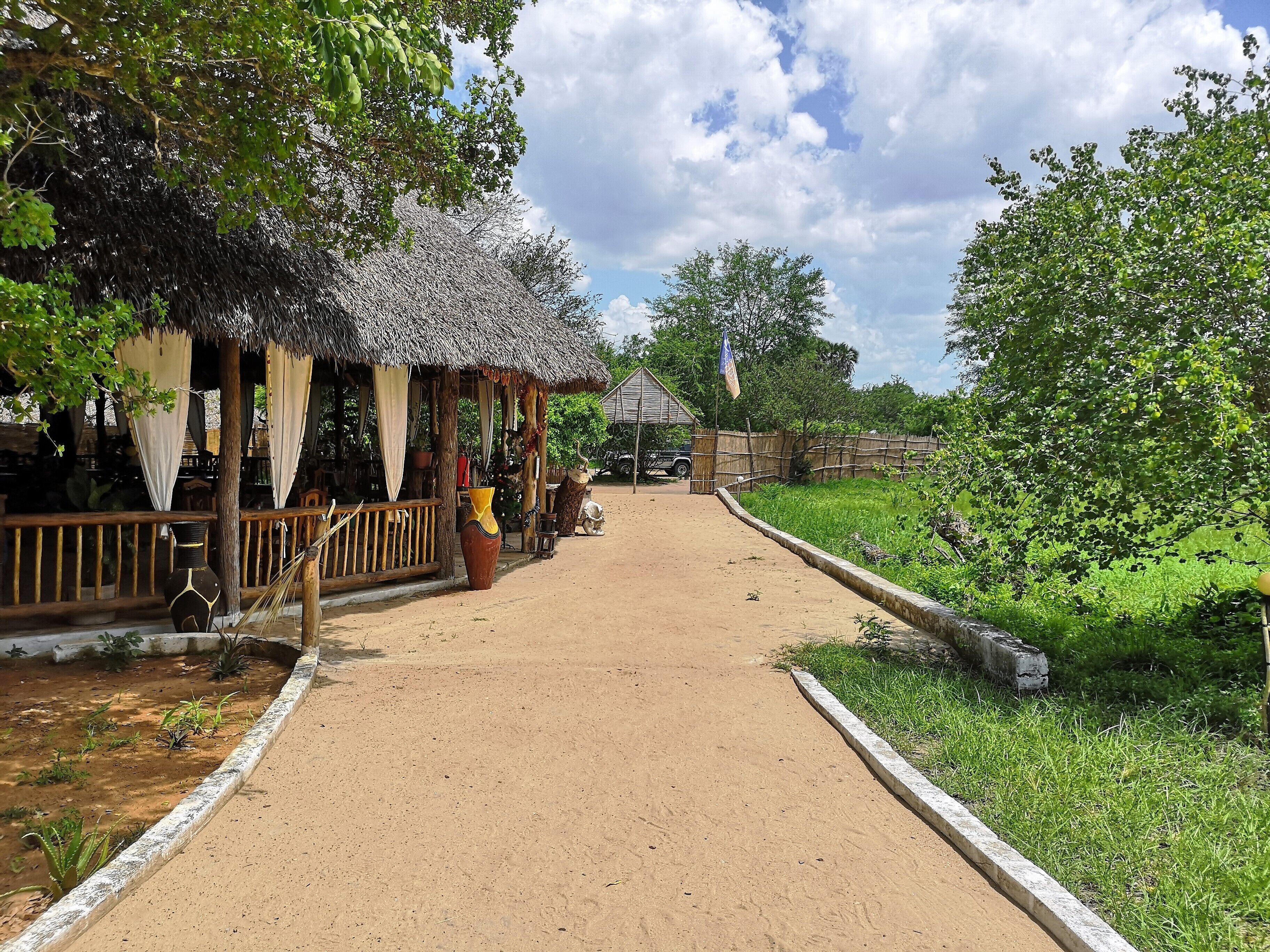 Africa Safari Selous