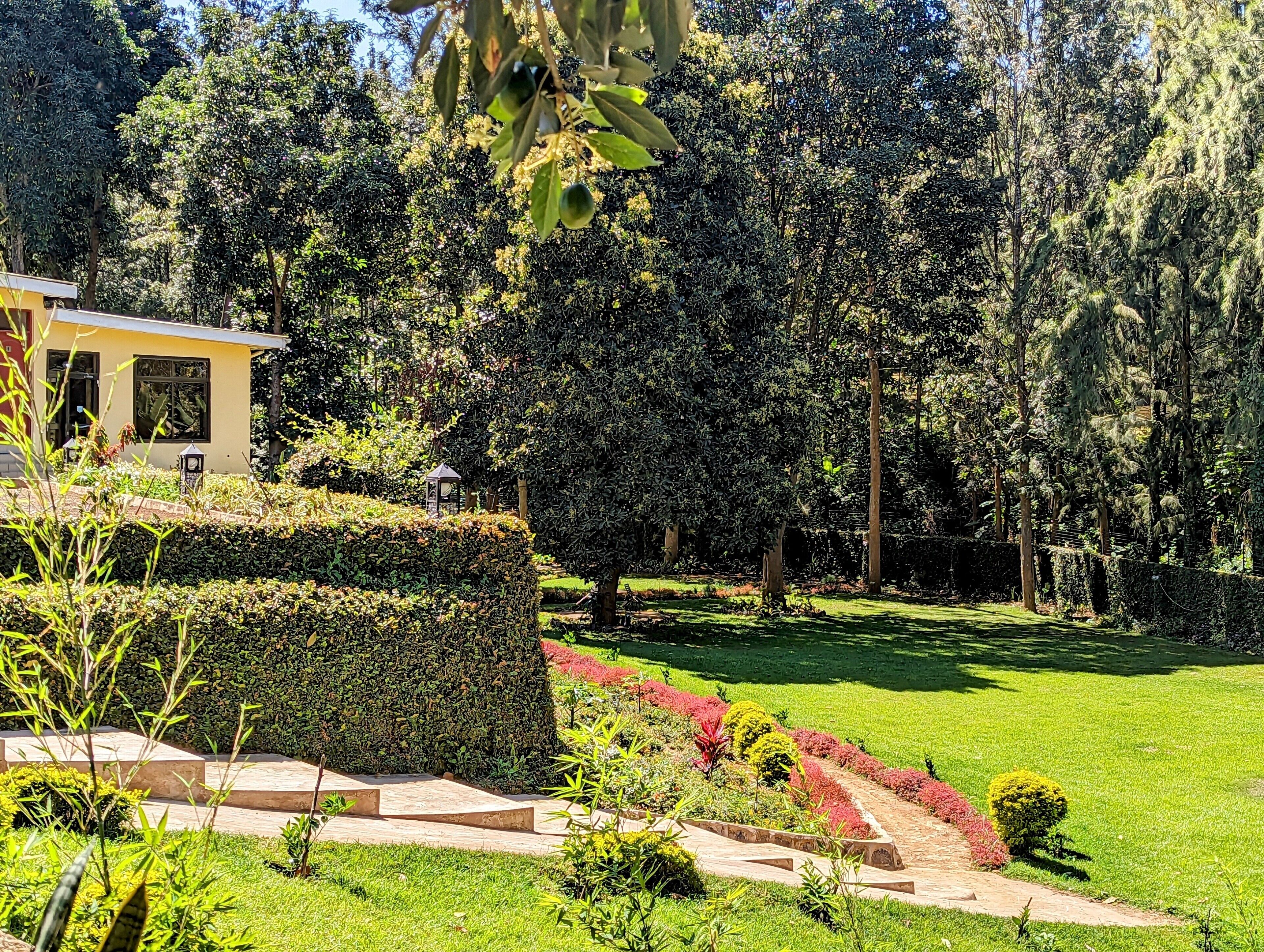 Mvuli Hotel