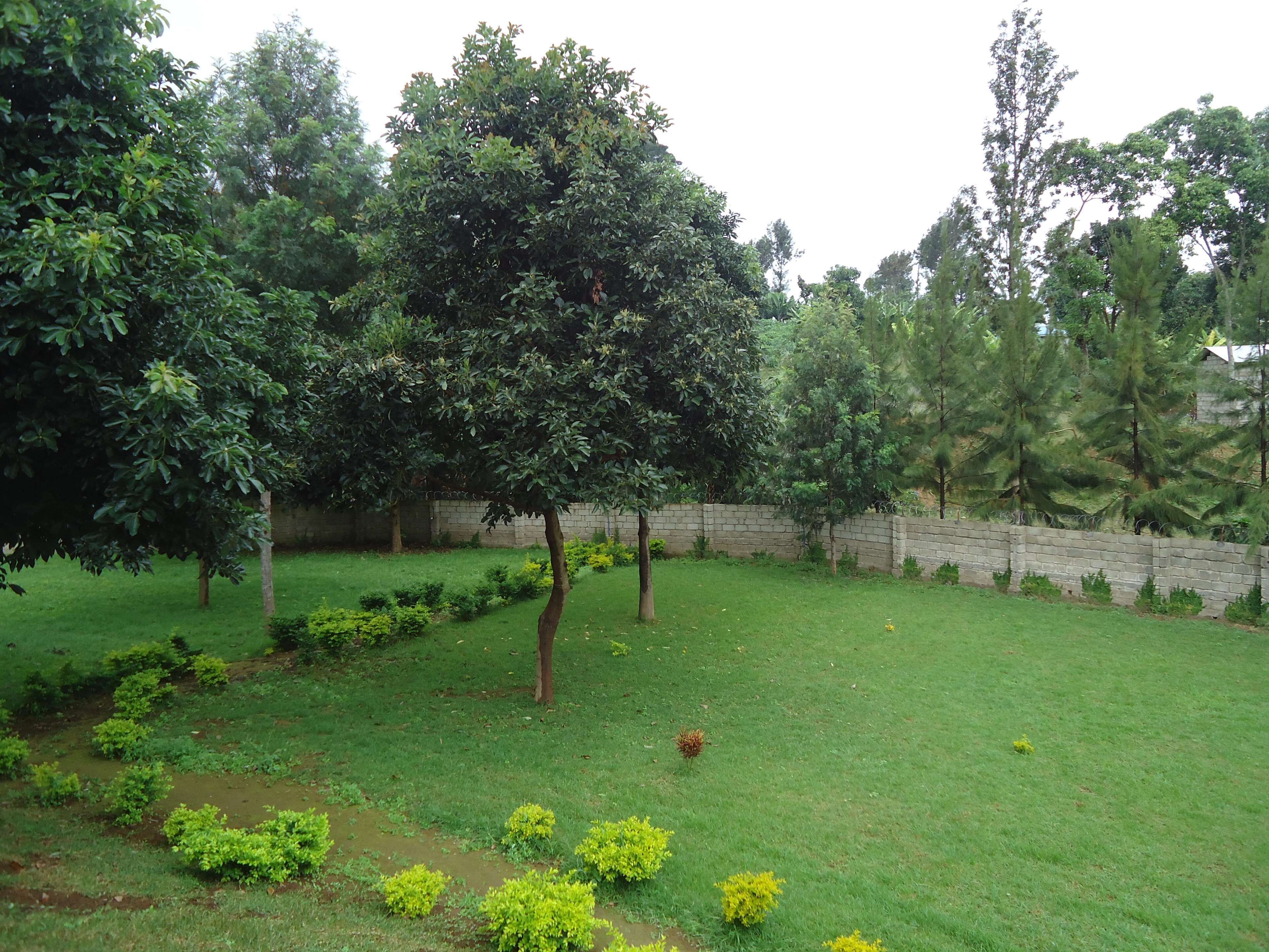 Mvuli Hotel