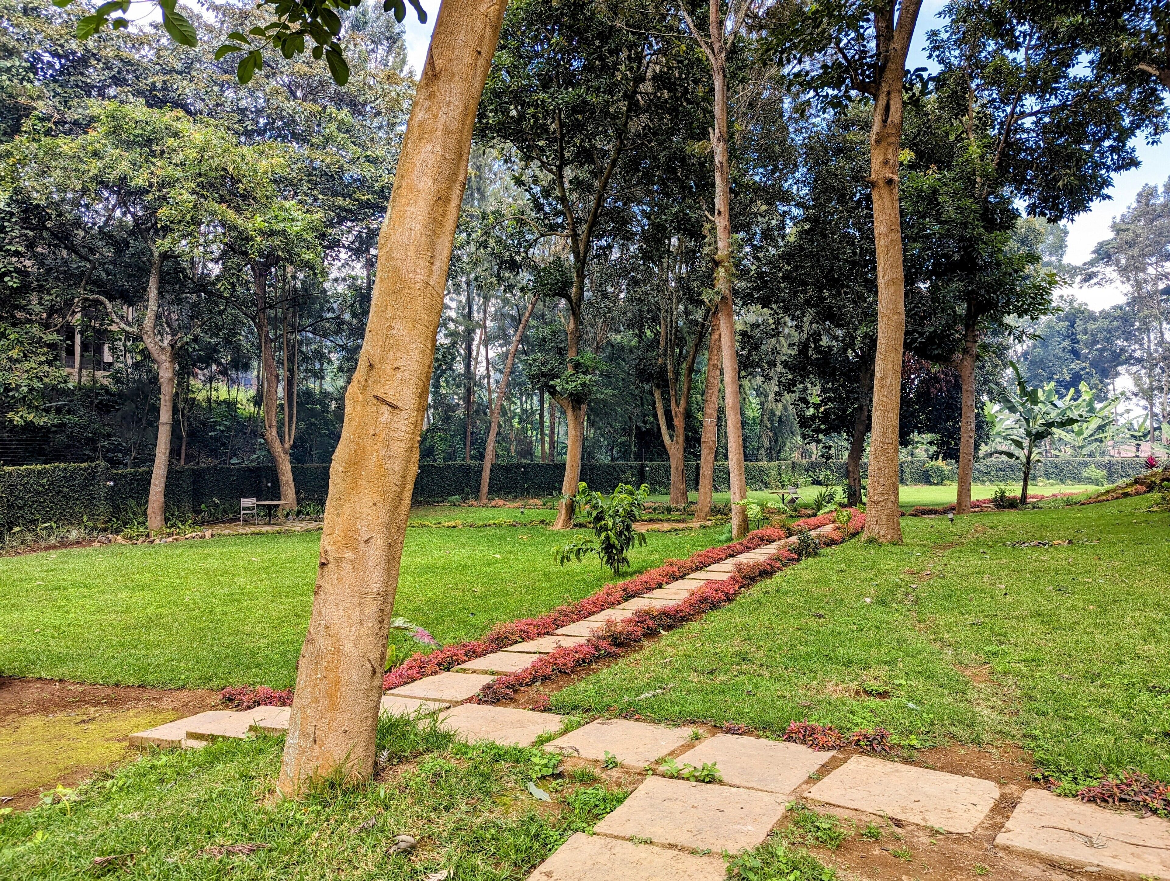 Mvuli Hotel