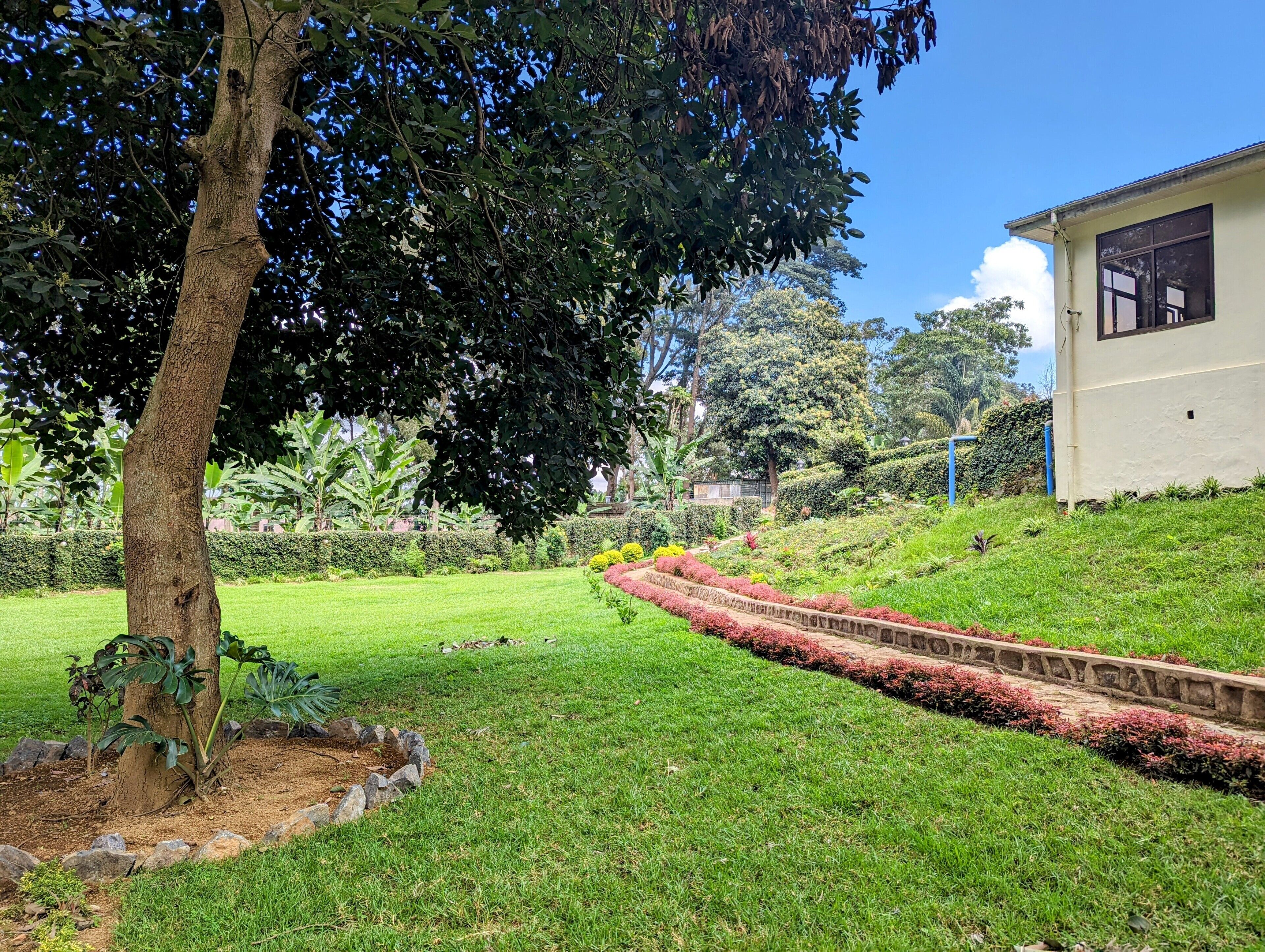 Mvuli Hotel