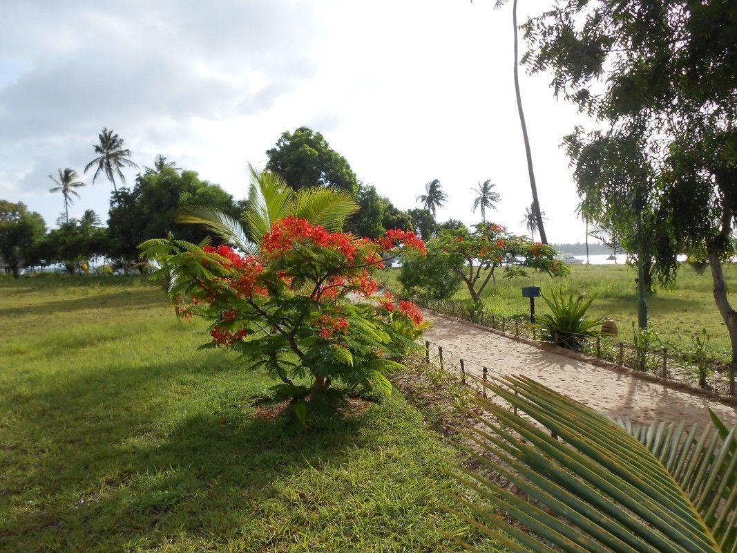 Mafia Island Lodge