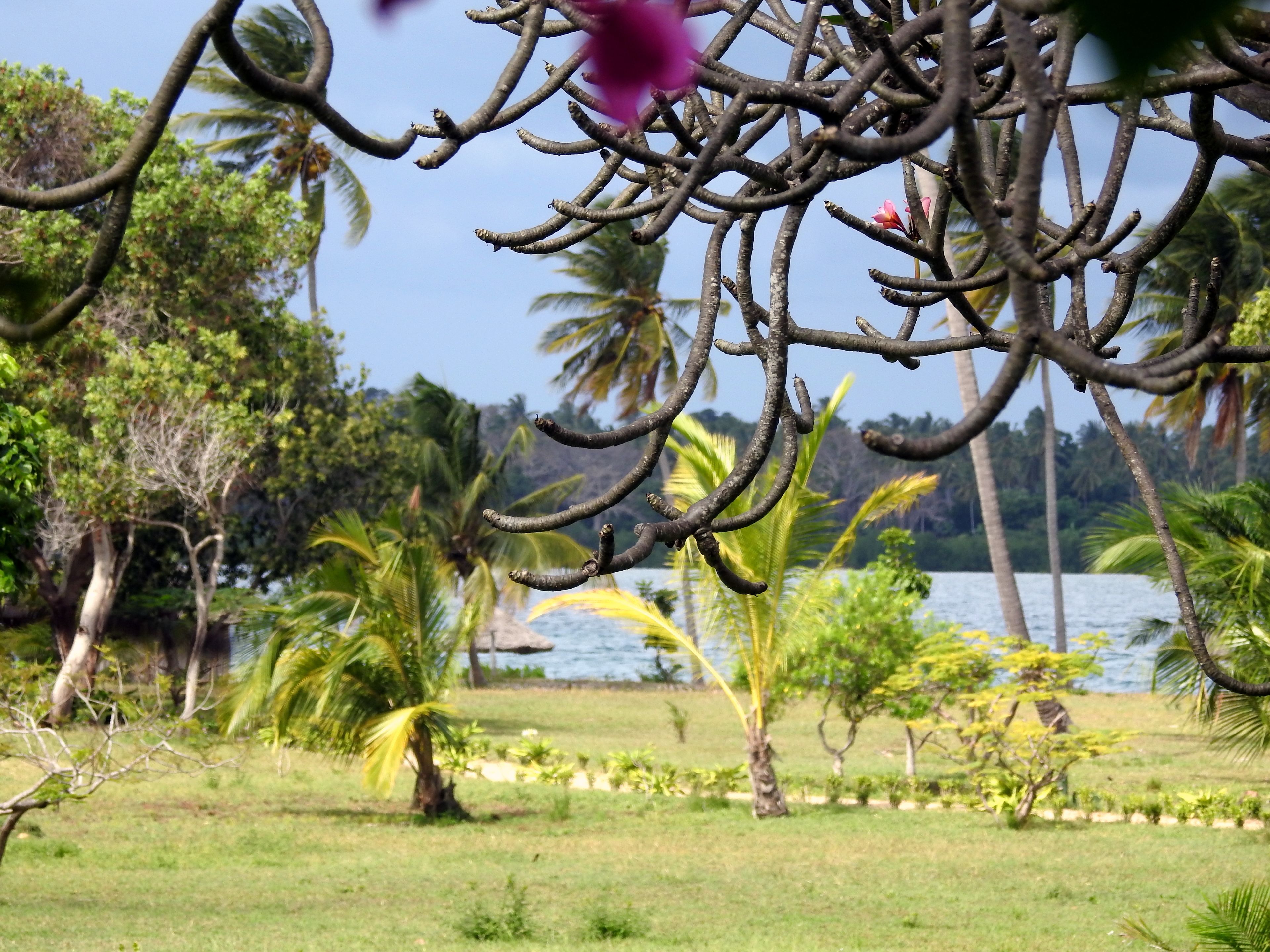 Mafia Island Lodge
