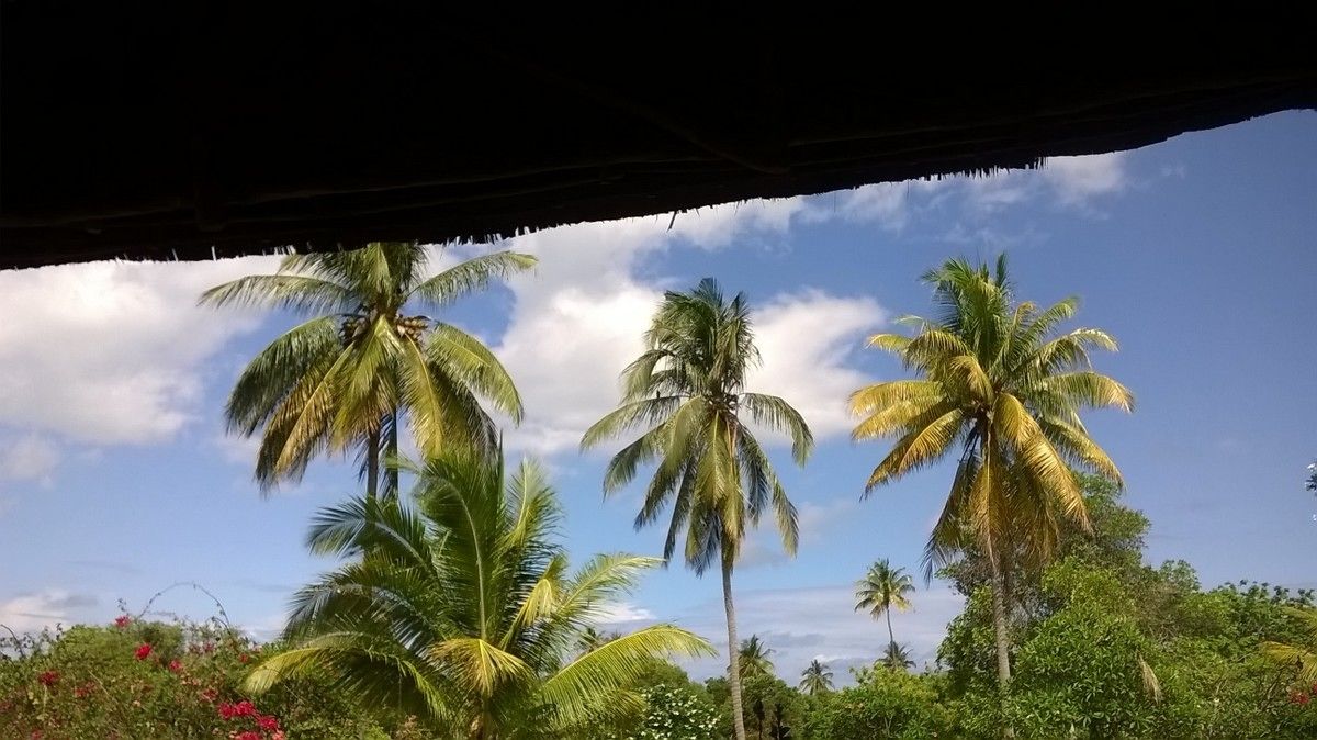 Mafia Island Lodge